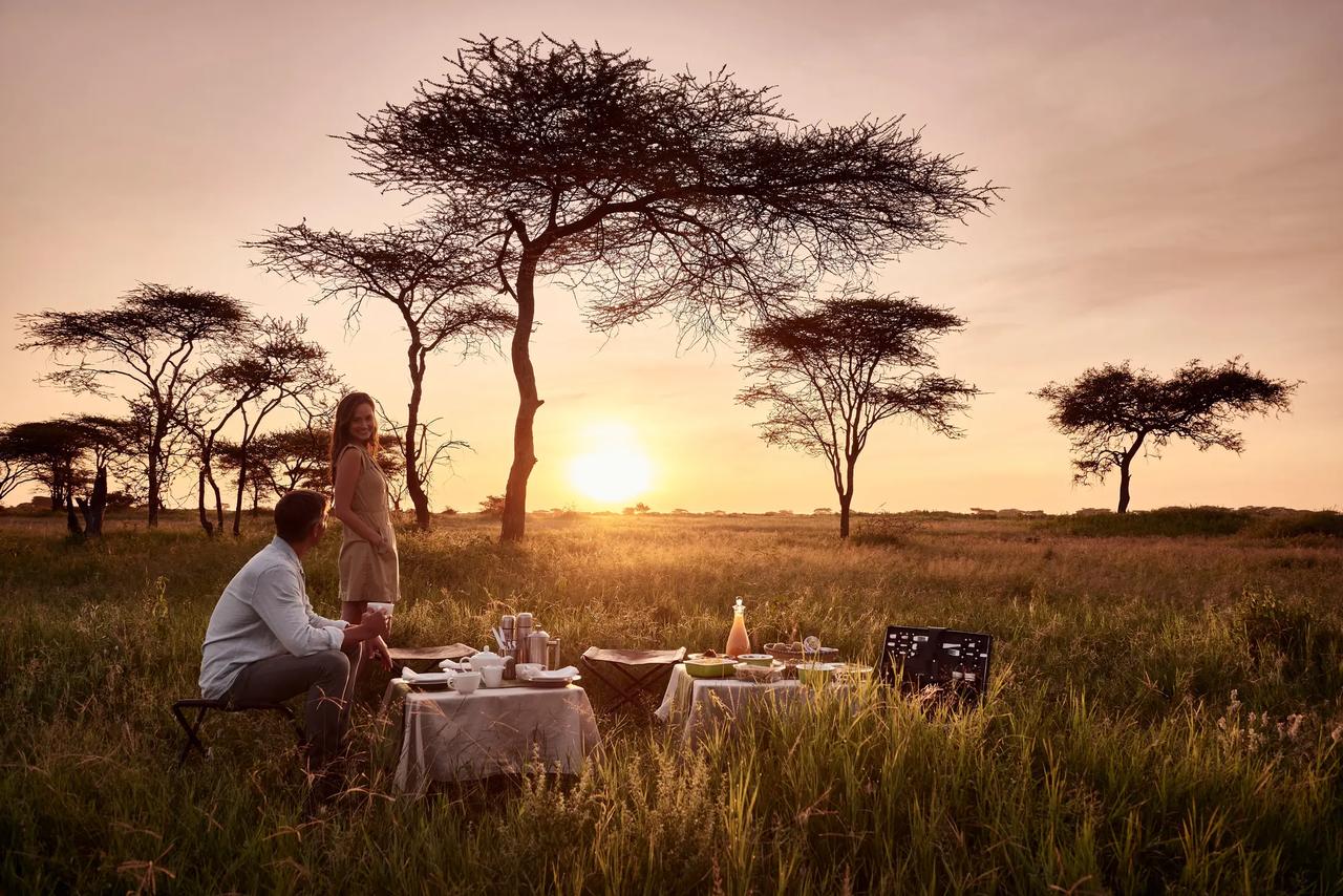 Couple sharing a private sunset picnic beneath an acacia tree in the Serengeti