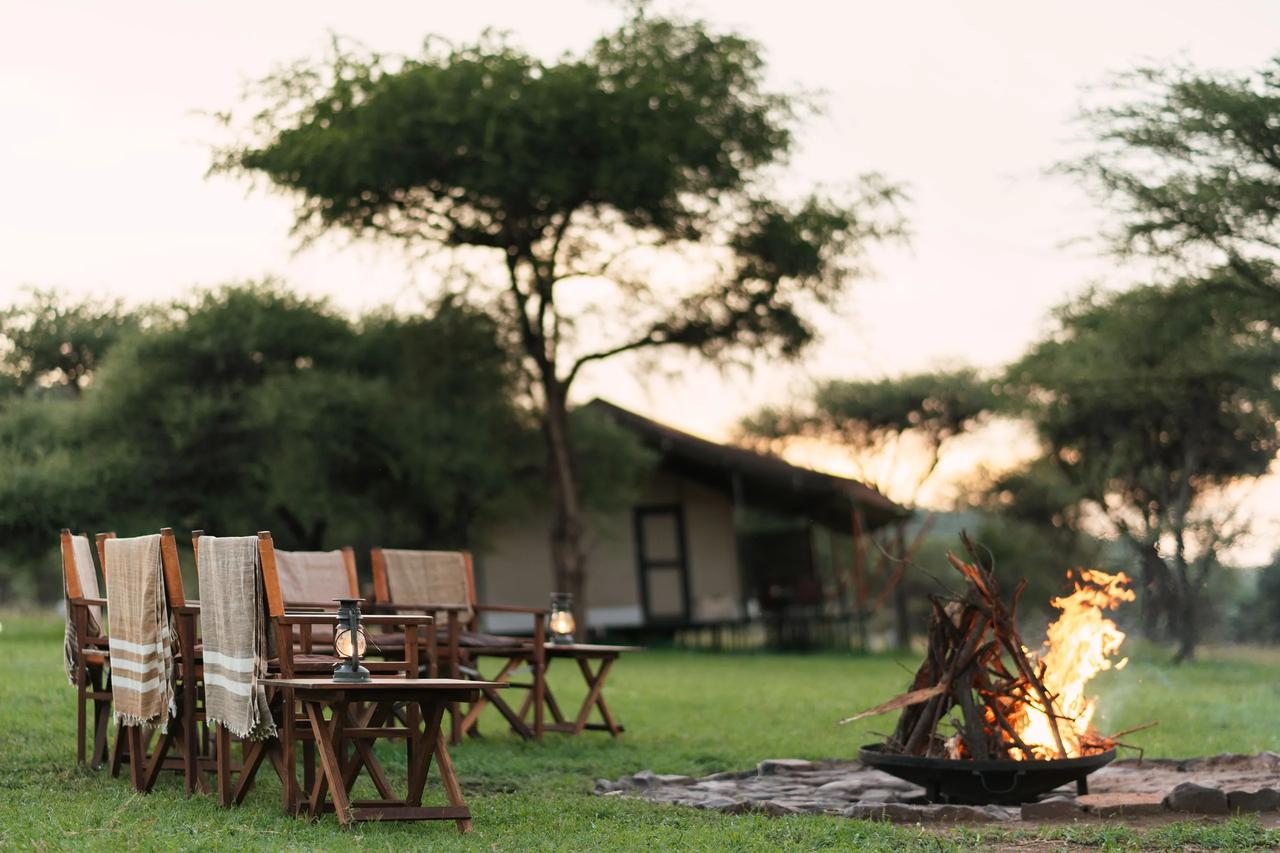 A camp dinner is set beneath an acacia at dusk