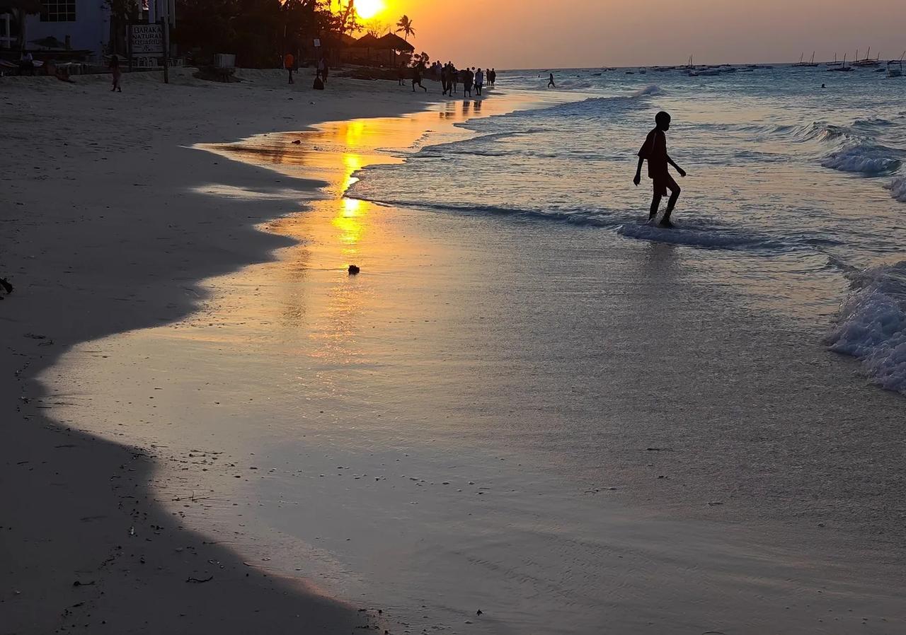 A quiet Zanzibar shoreline at dusk