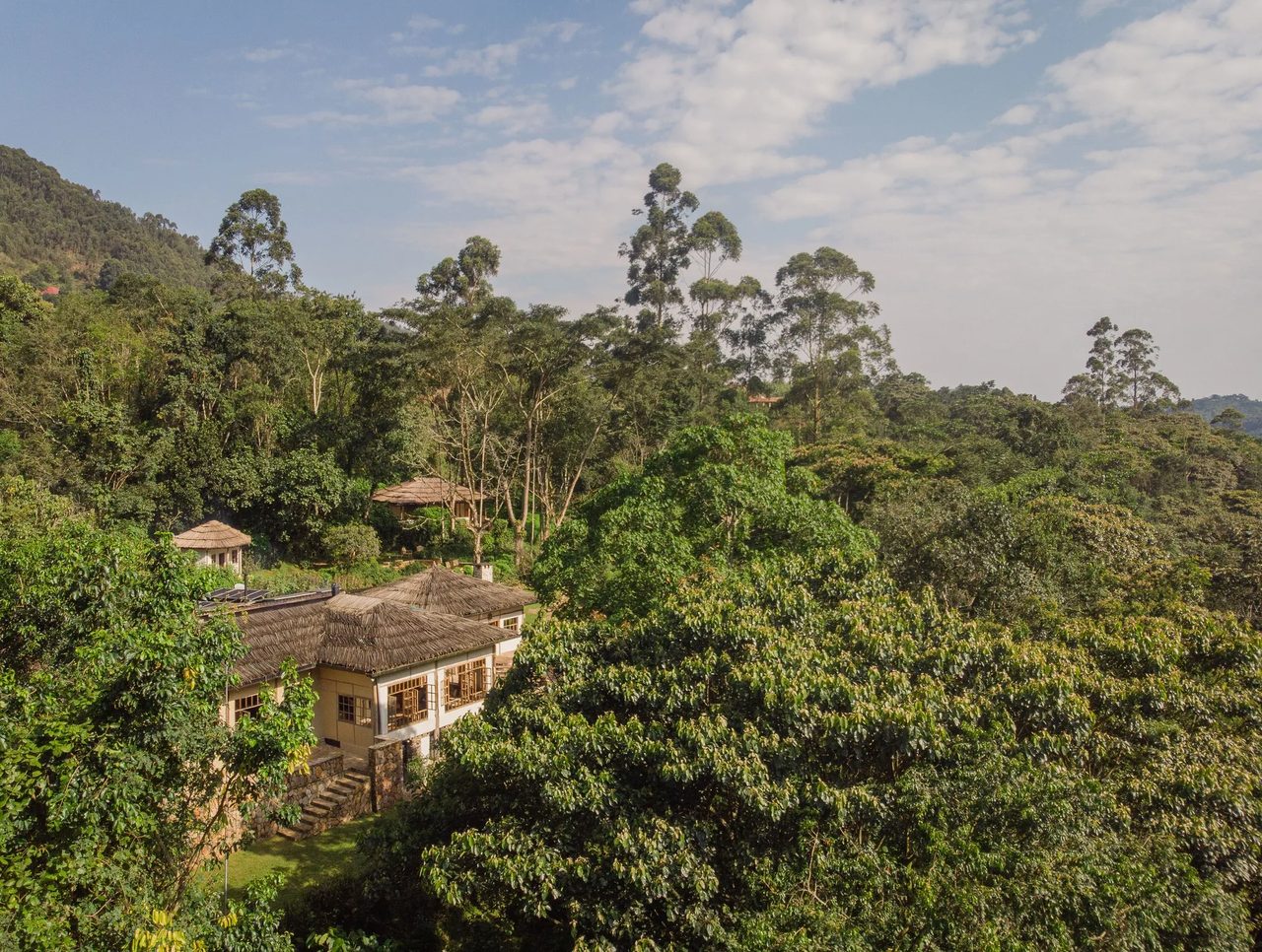 A lodge sits deep in the folds of the Bwindi forest