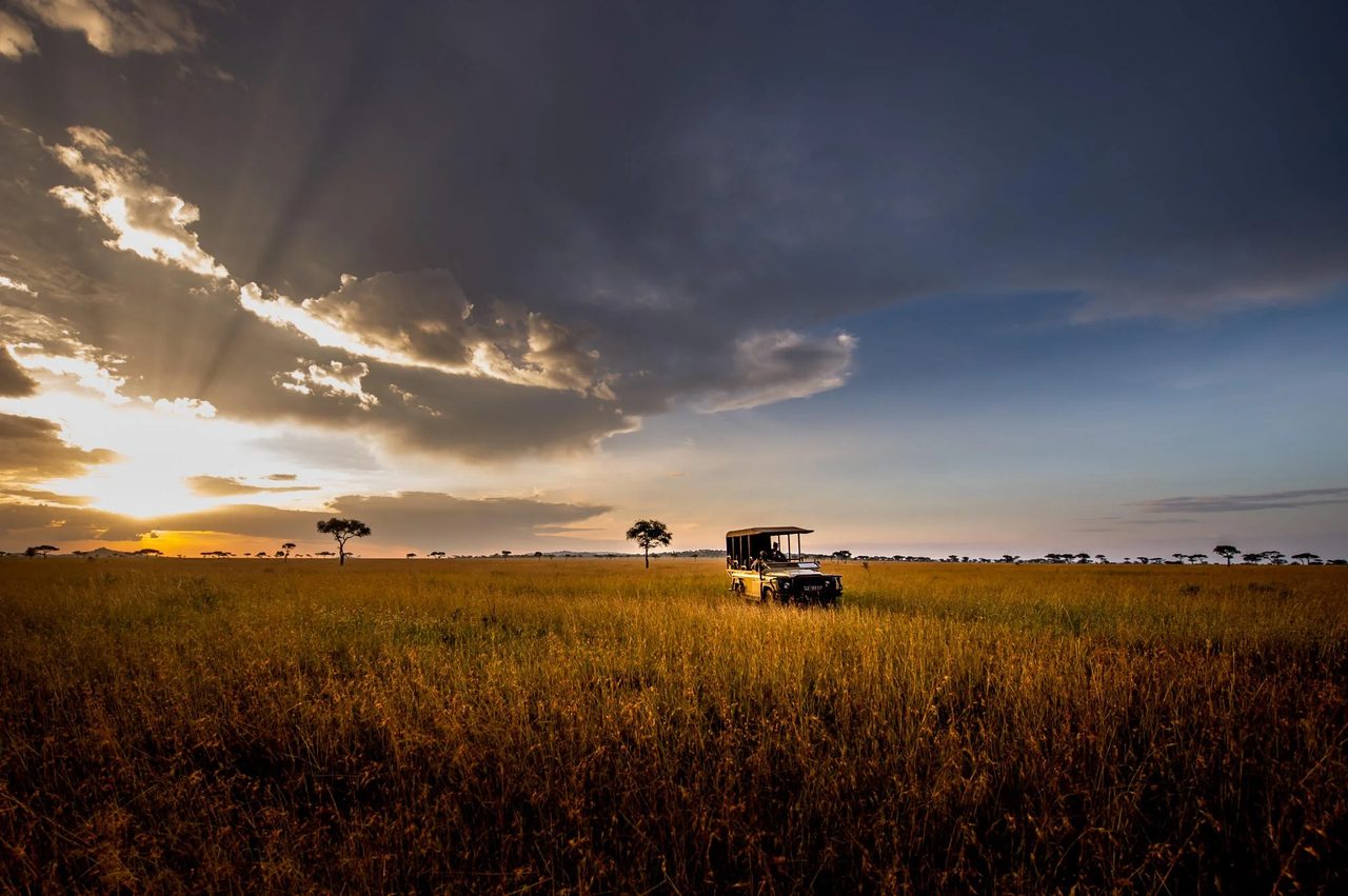 A safari vehicle stands silhouetted on the darkening plain