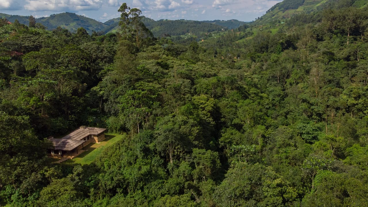 A forest lodge sits deep in the Bwindi canopy, seen from the air