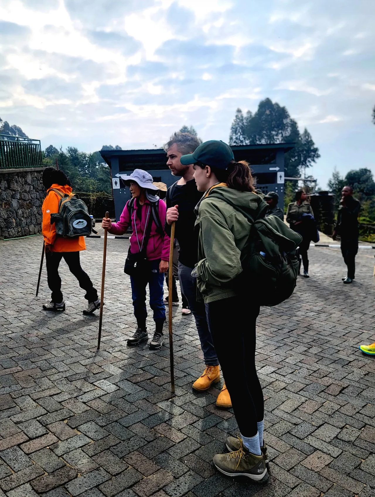 Trekkers walk a stone path toward the forest at the start of a gorilla morning