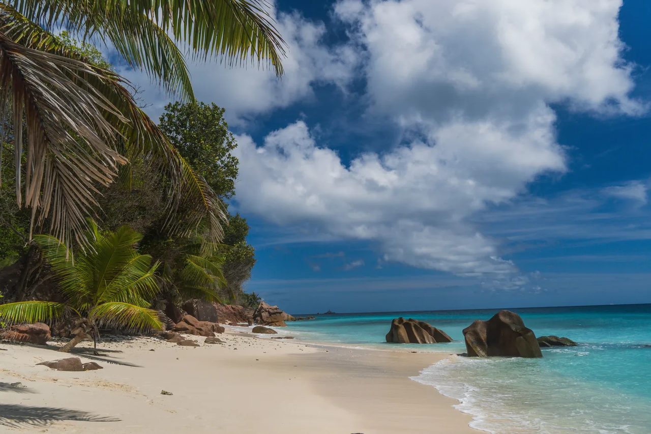 Granite boulders and palms above a white-sand beach in the Seychelles
