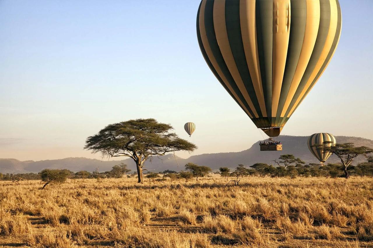 Two balloons drift over the golden plain at first light