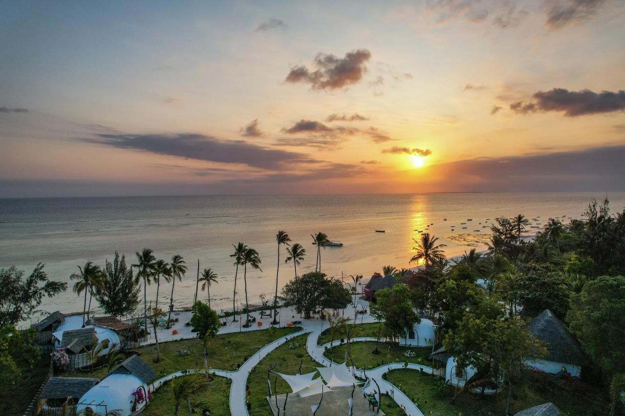 The Indian Ocean coast curves away below palms at sunset