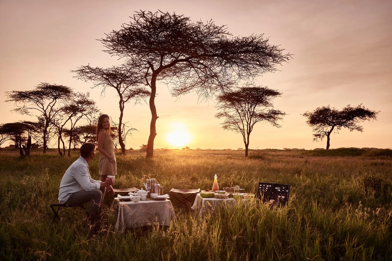 Couple sharing a private sunset picnic beneath an acacia tree in the Serengeti