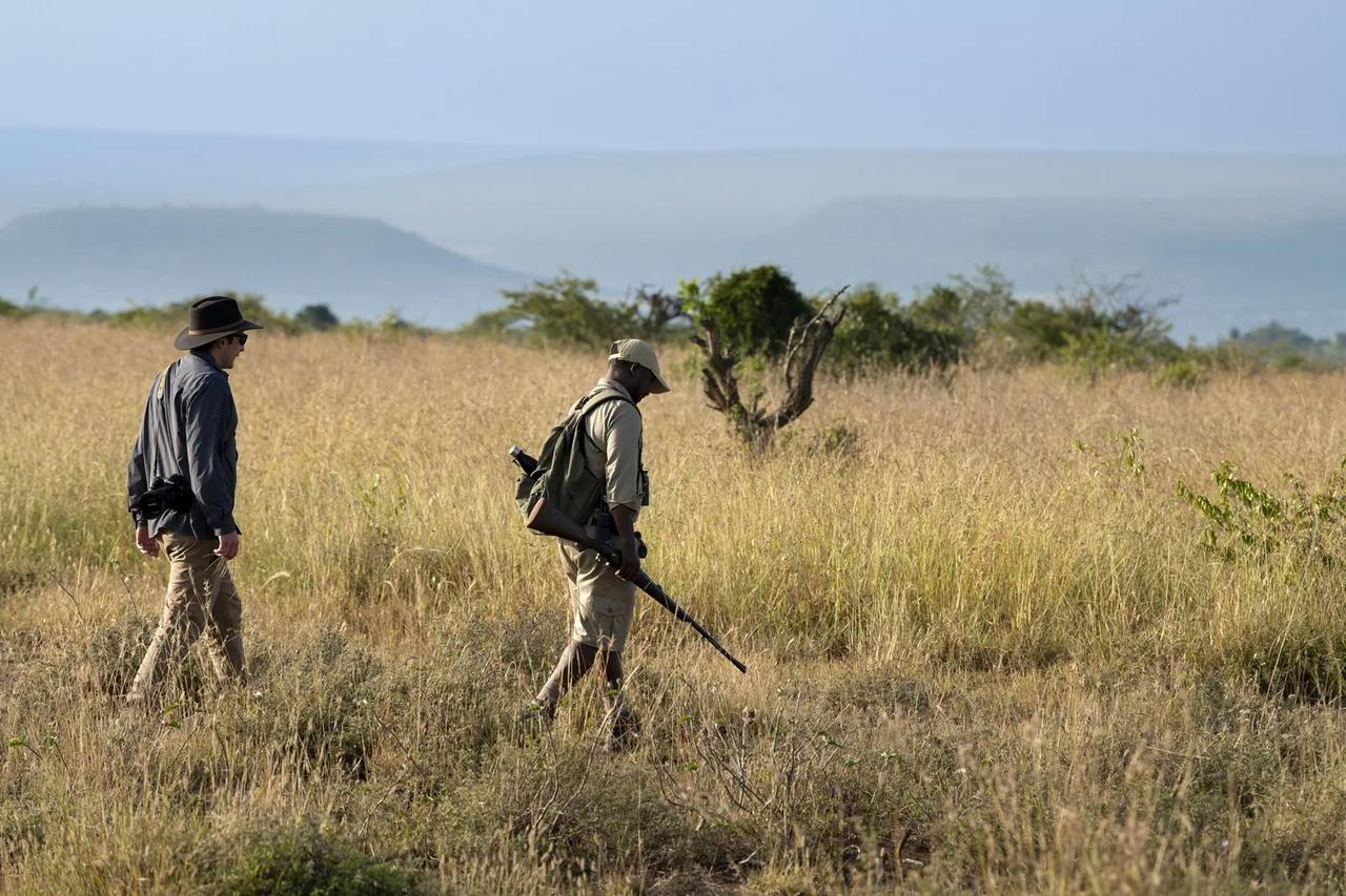 A guide leads a walking safari through golden conservancy grass