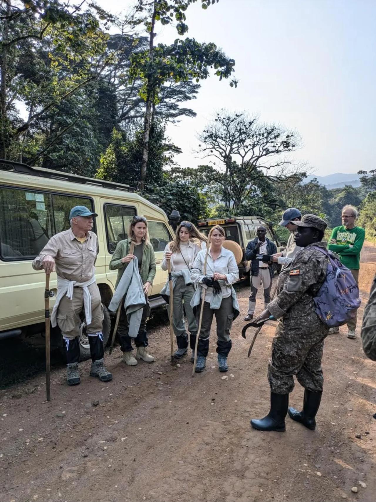 Trekkers with walking poles gather beside safari vehicles at a gorilla trailhead
