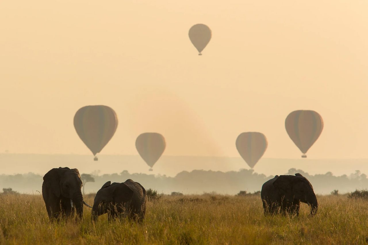 Hot-air balloons drift over elephants at hazy dawn