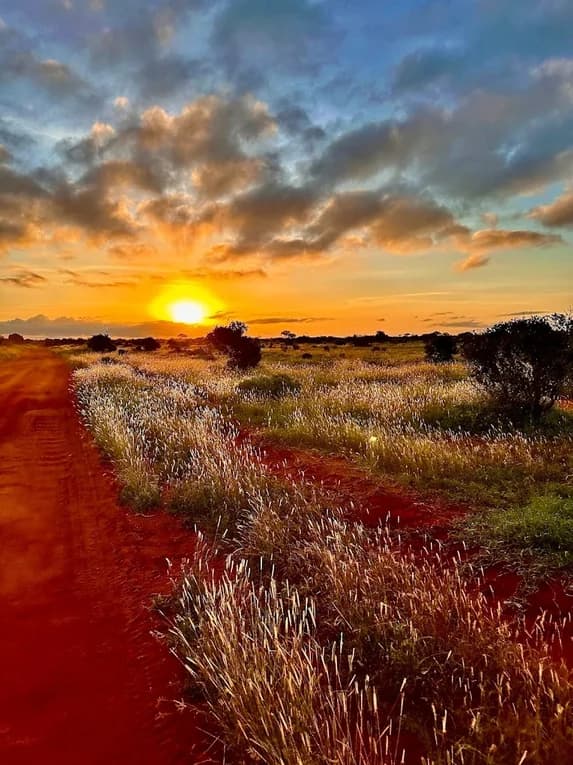 Sunset over the red-earth road through Tsavo