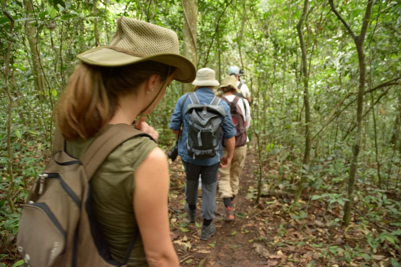 A guide leading guests along a highland forest trail