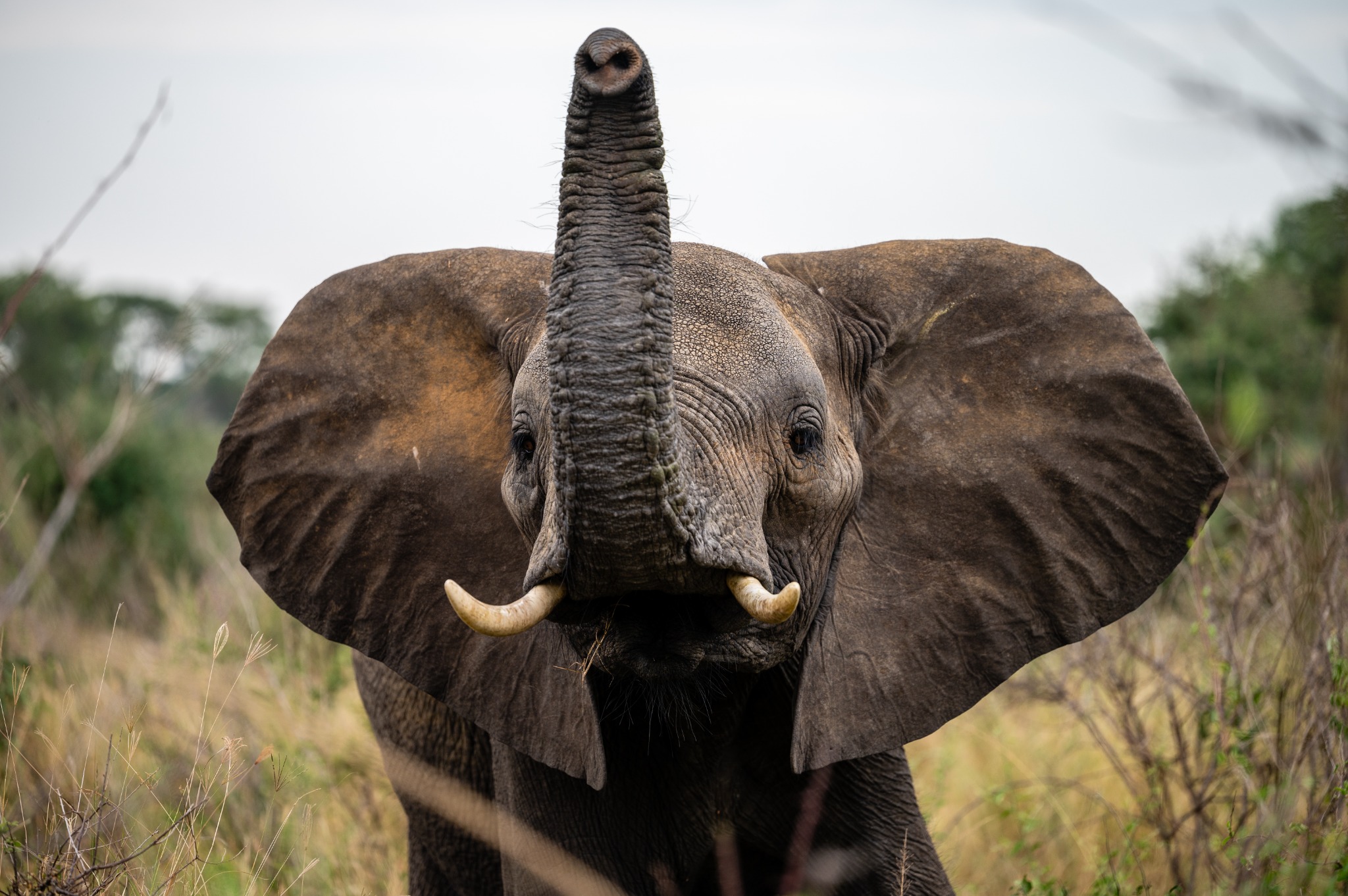 Tsavo East & West in Kenya