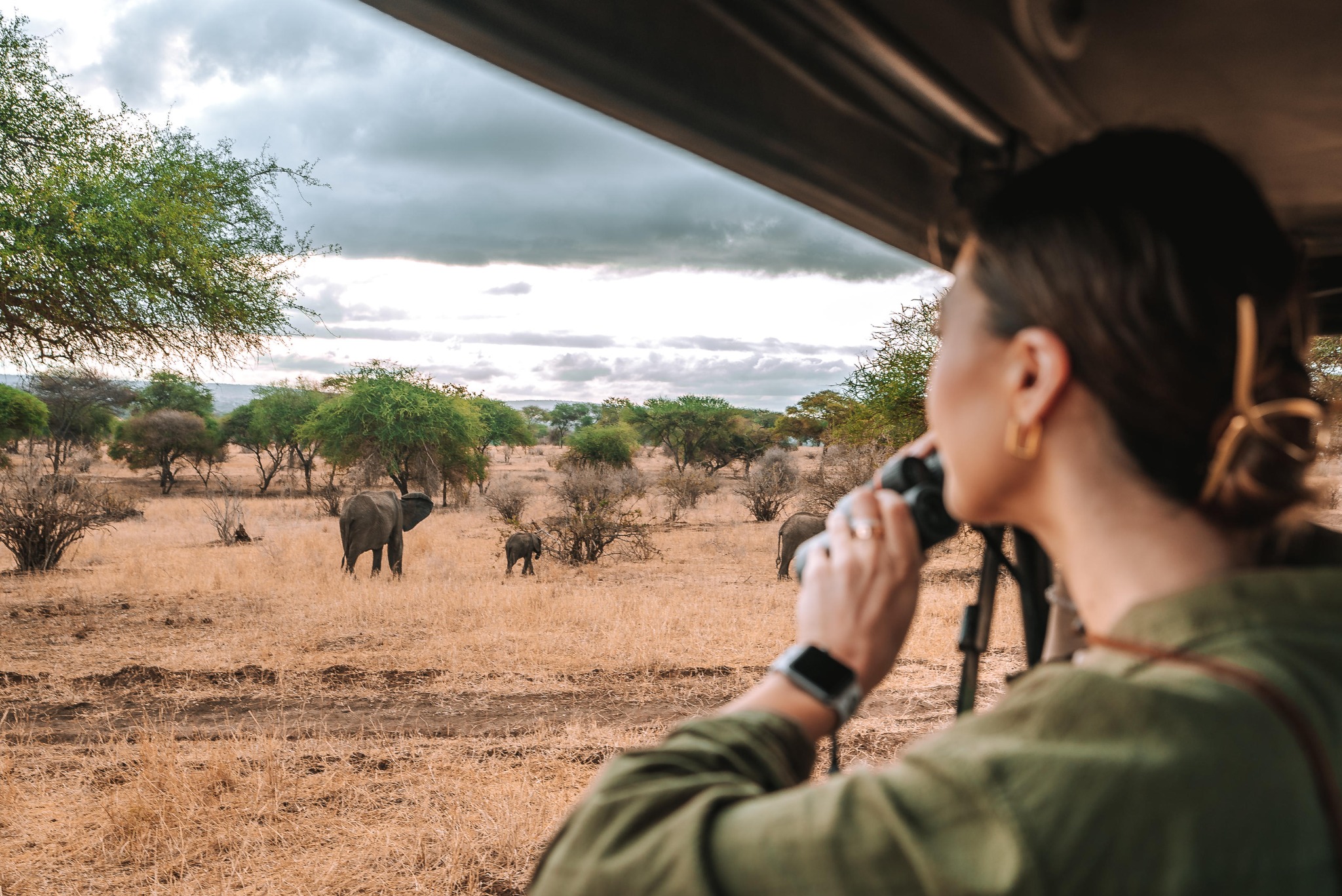 A private game drive on honeymoon