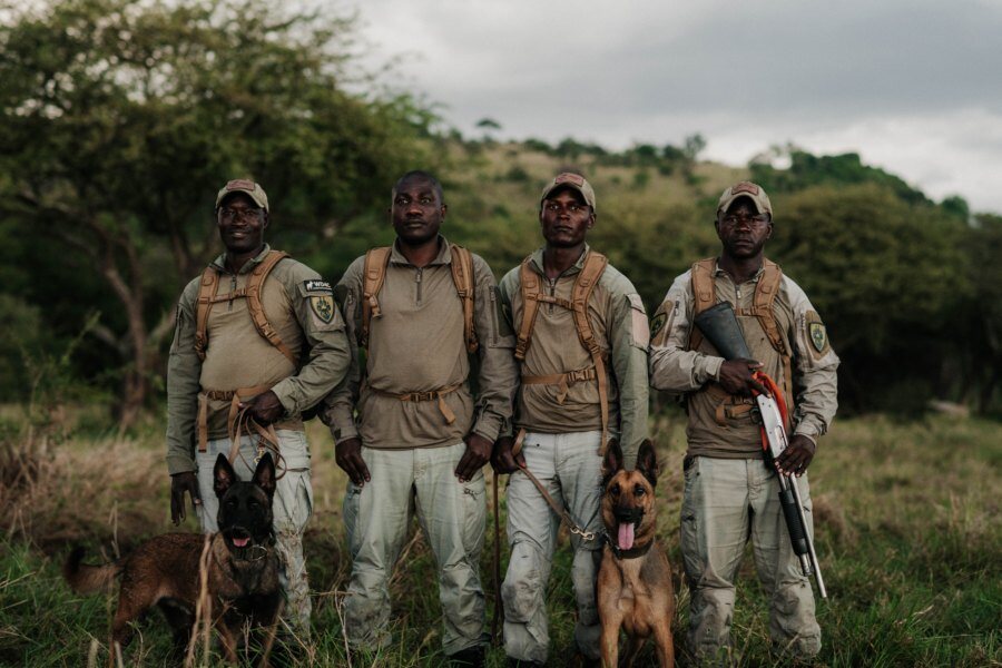 Rangers connected to conservation work in the Serengeti ecosystem
