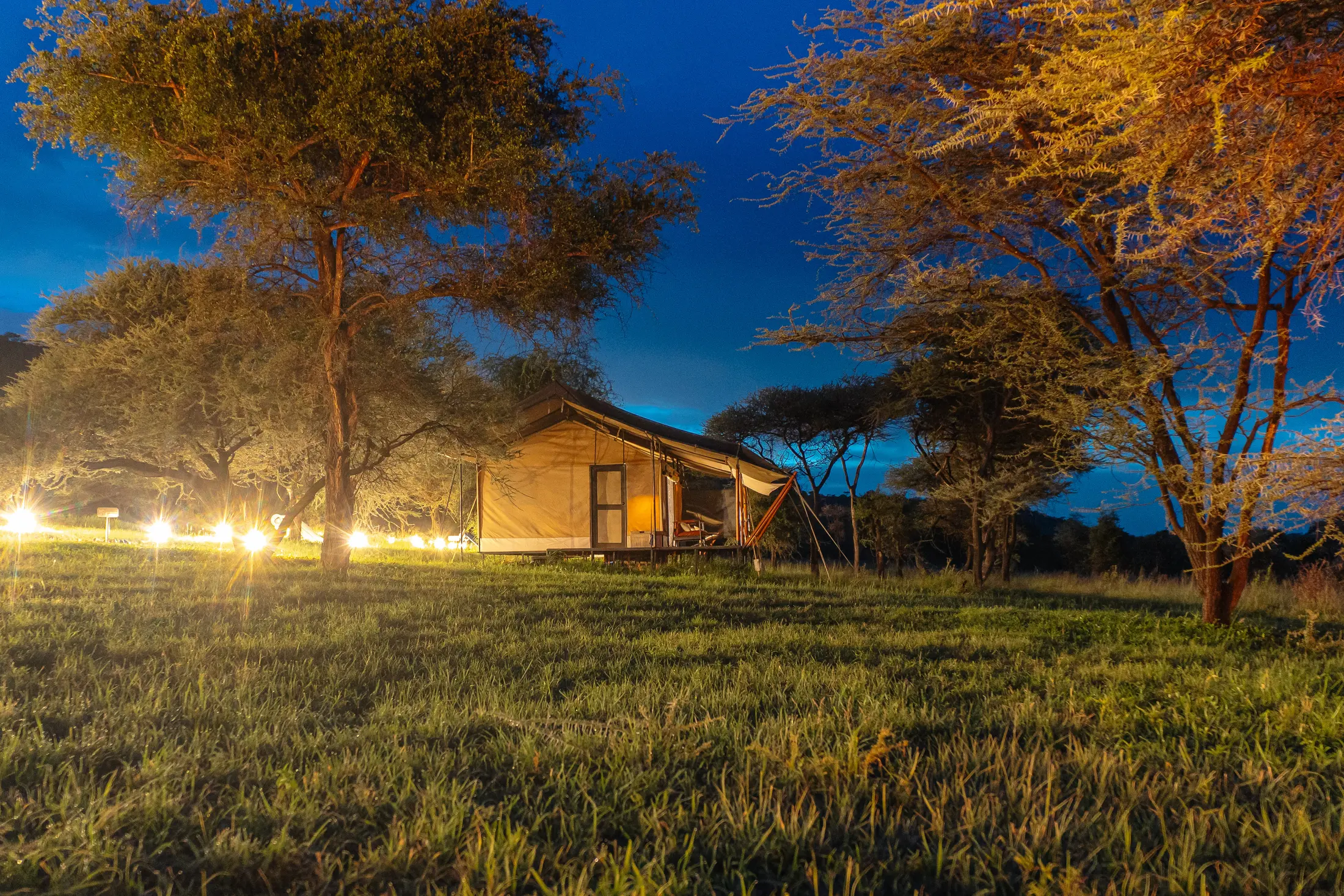 Lantern-lit safari camp at dusk in the Serengeti