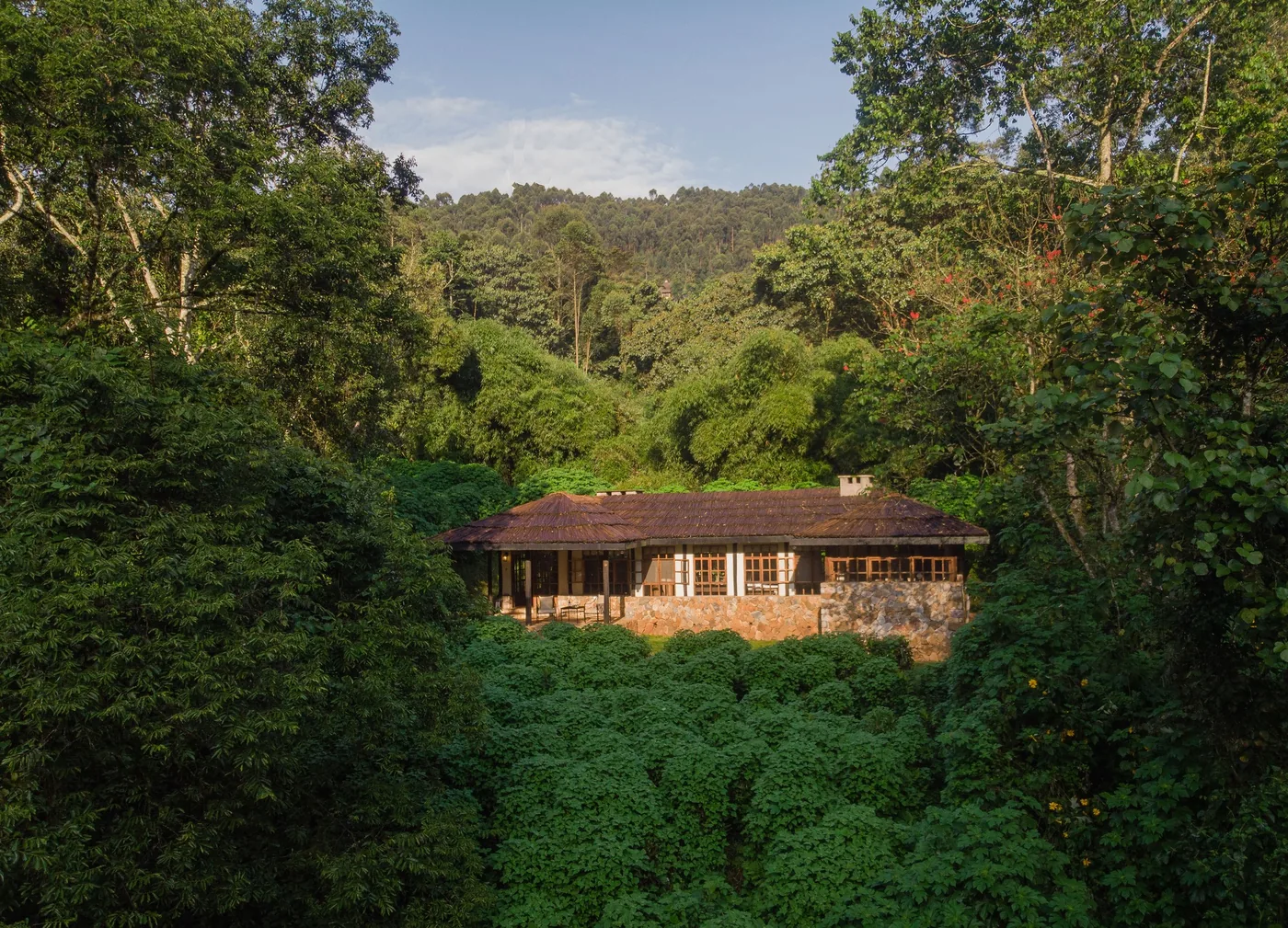 A forest lodge sits low in the green of Bwindi