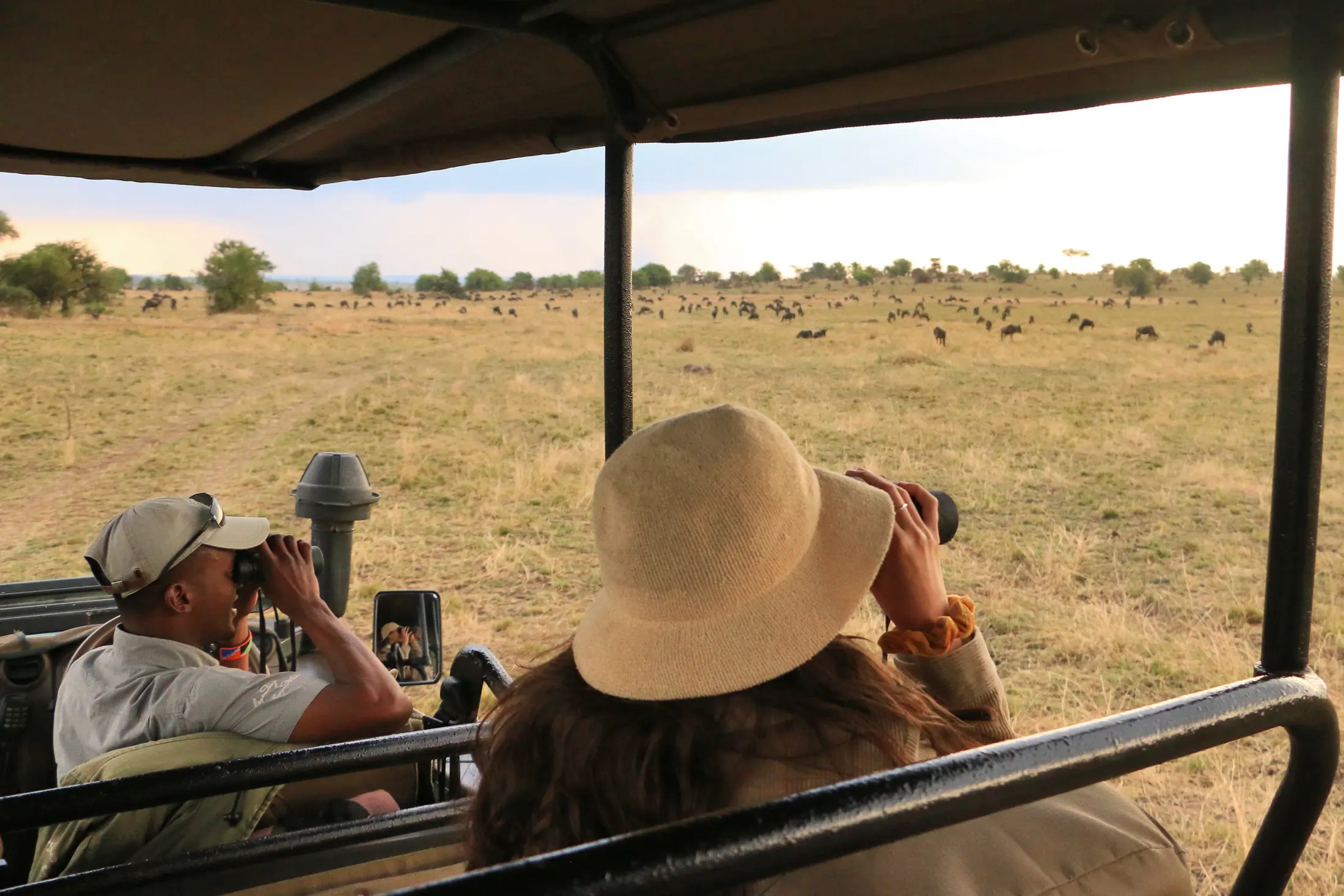 Safari guide and guests using binoculars from a vehicle in the southern Serengeti