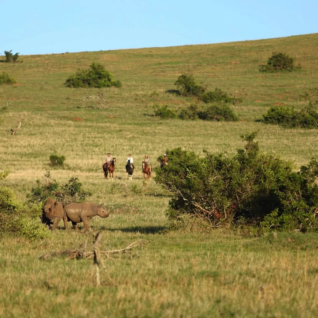 Riders cross open green country
