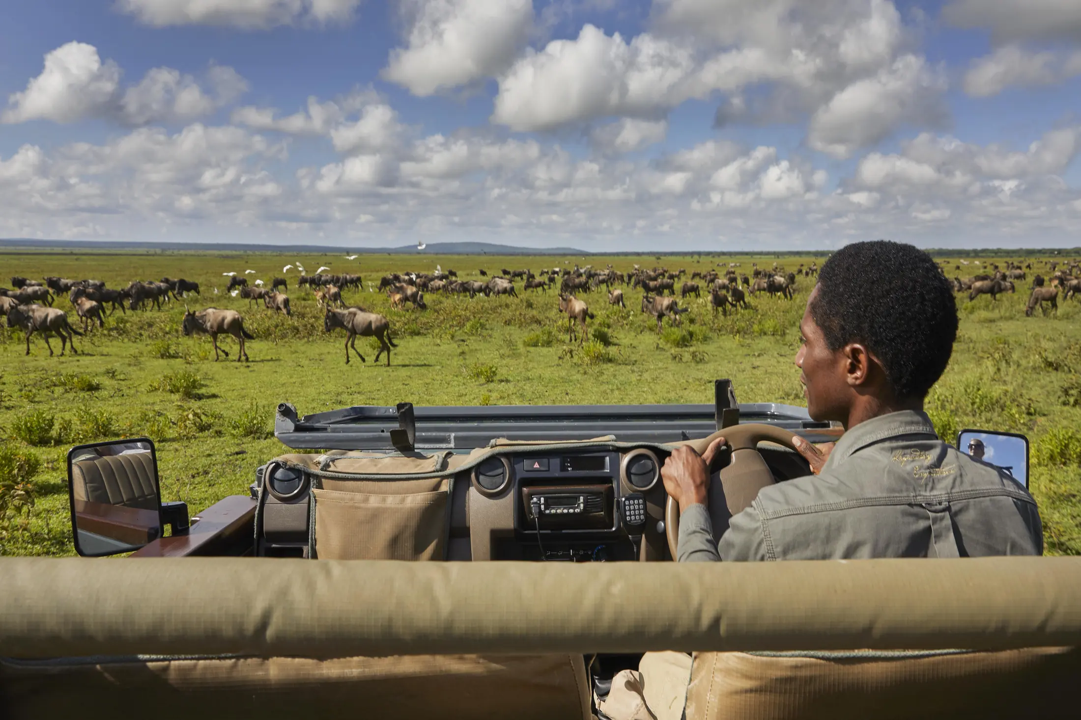Game-drive vehicle overlooking wildebeest herds during the southern Serengeti calving season