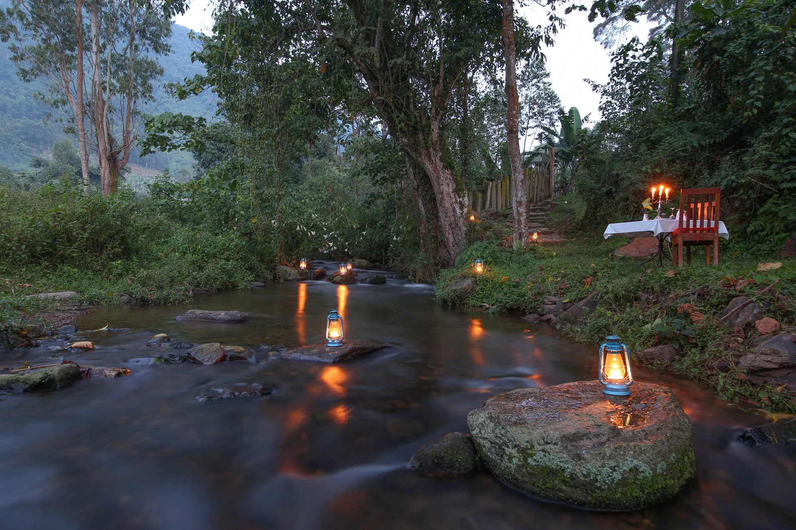 Lanterns light a forest stream at nightfall