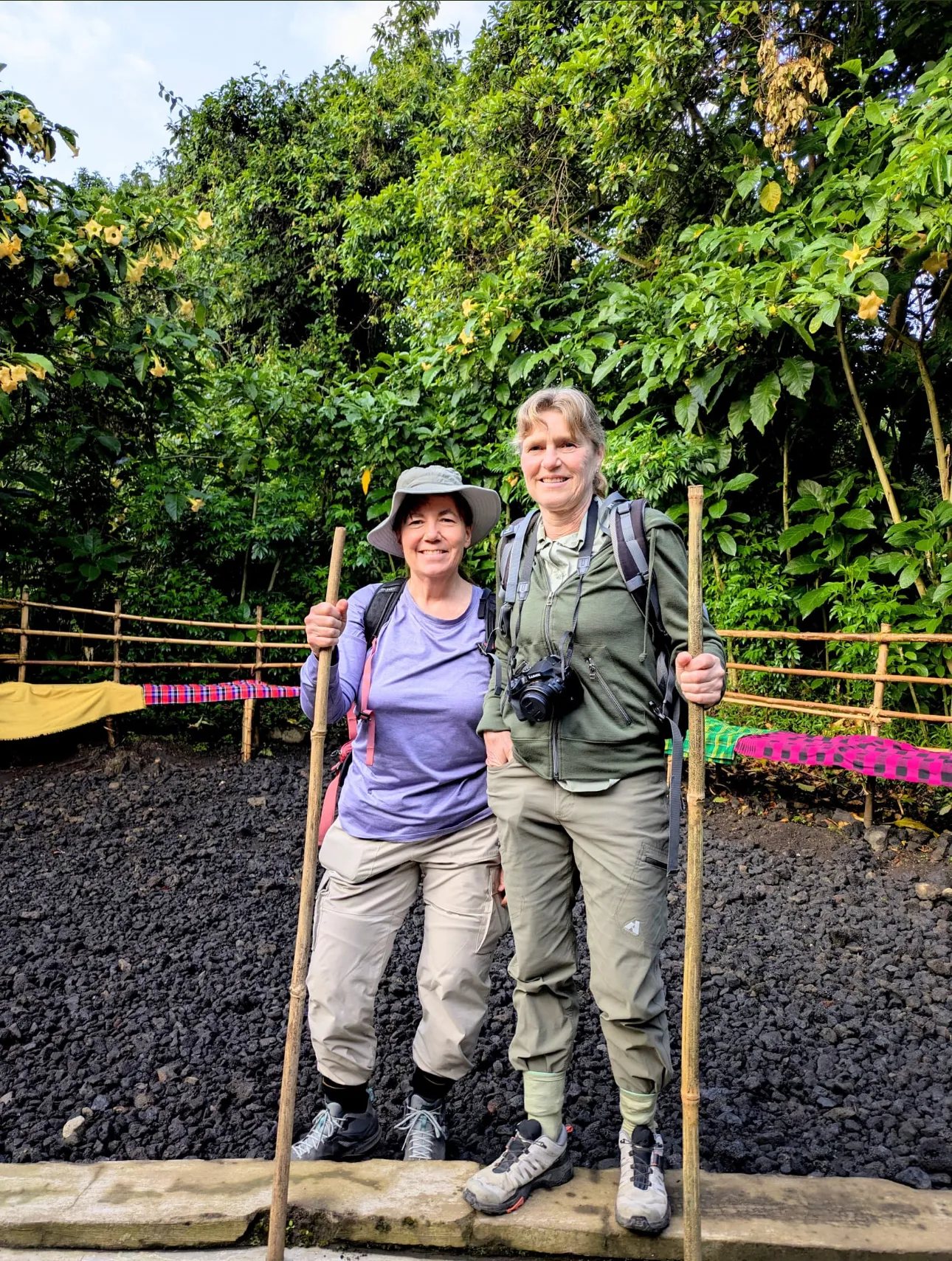 Trekkers stand ready at a forest trailhead with daypacks, before the morning walk begins.