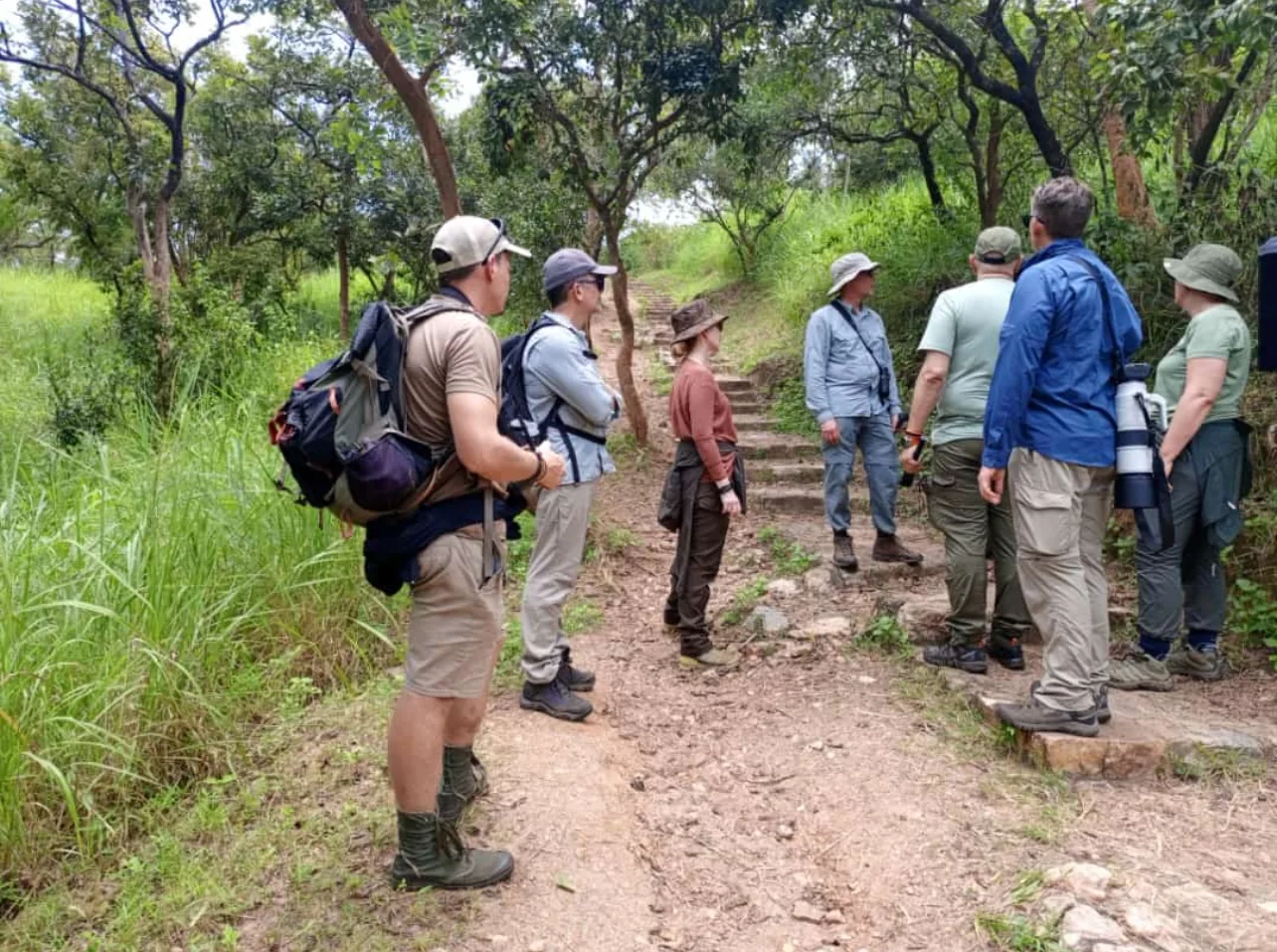 Trekkers follow a forest trail with daypacks and walking poles