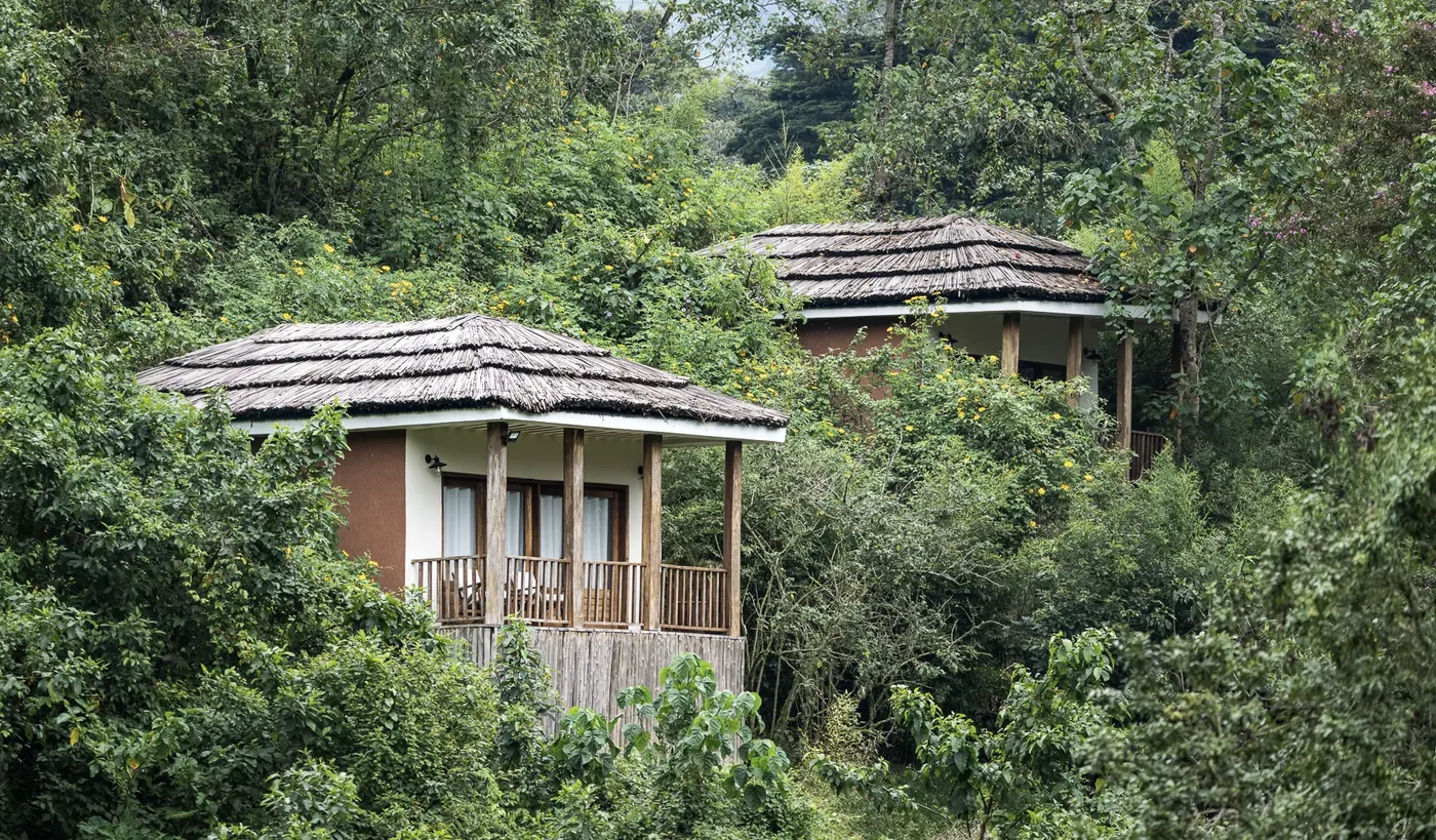 Family cottages sit under thatch at the edge of the forest