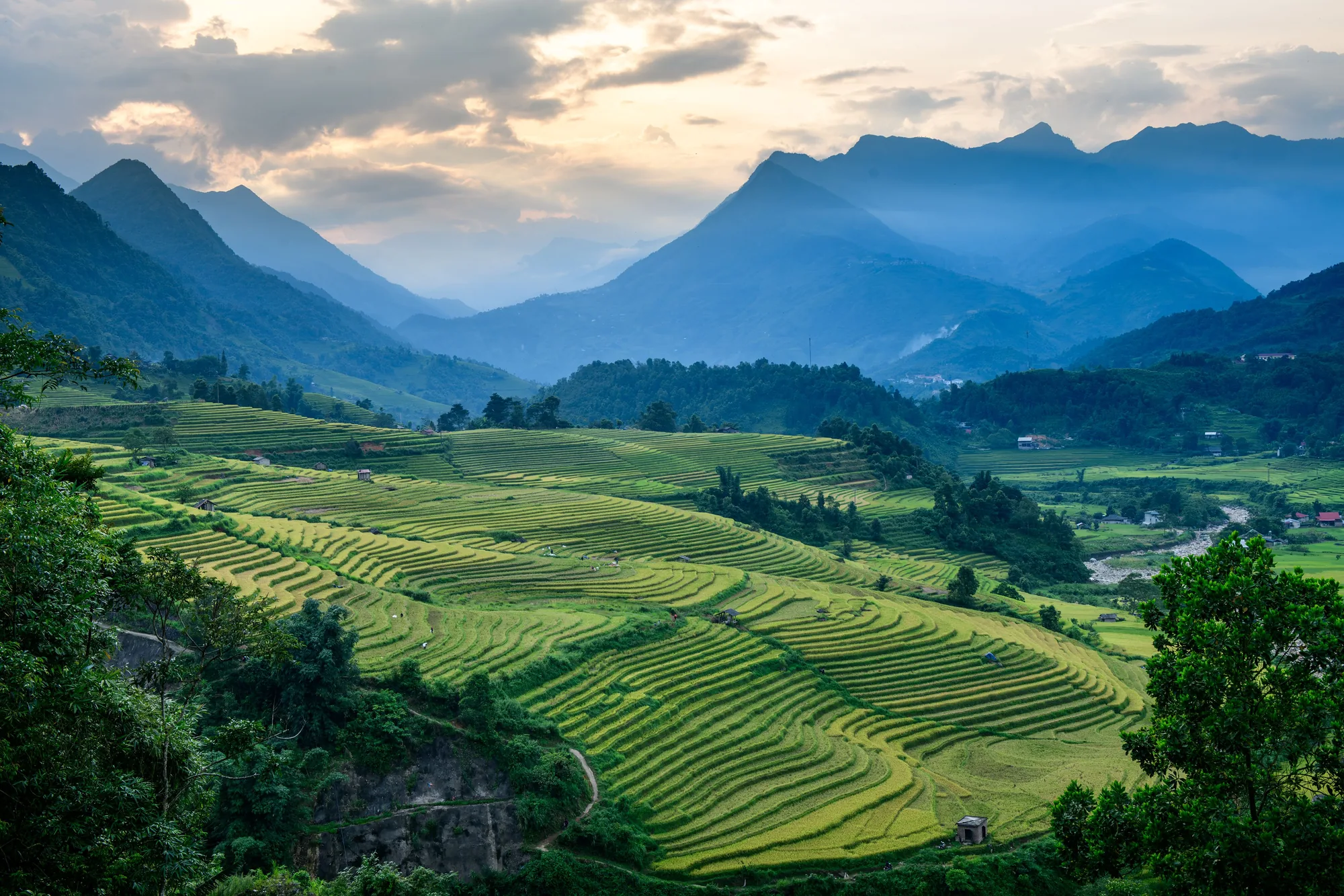 Rice terraces climb toward the Virunga volcanoes