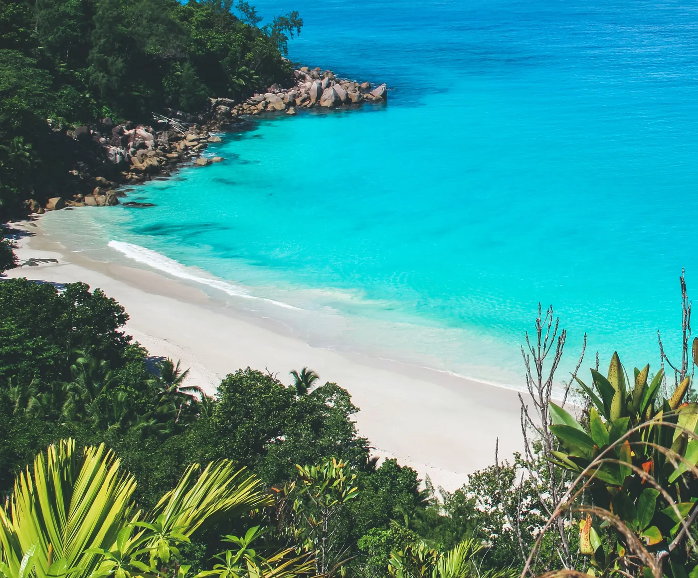 A white sand cove framed by forest on a Seychelles extension