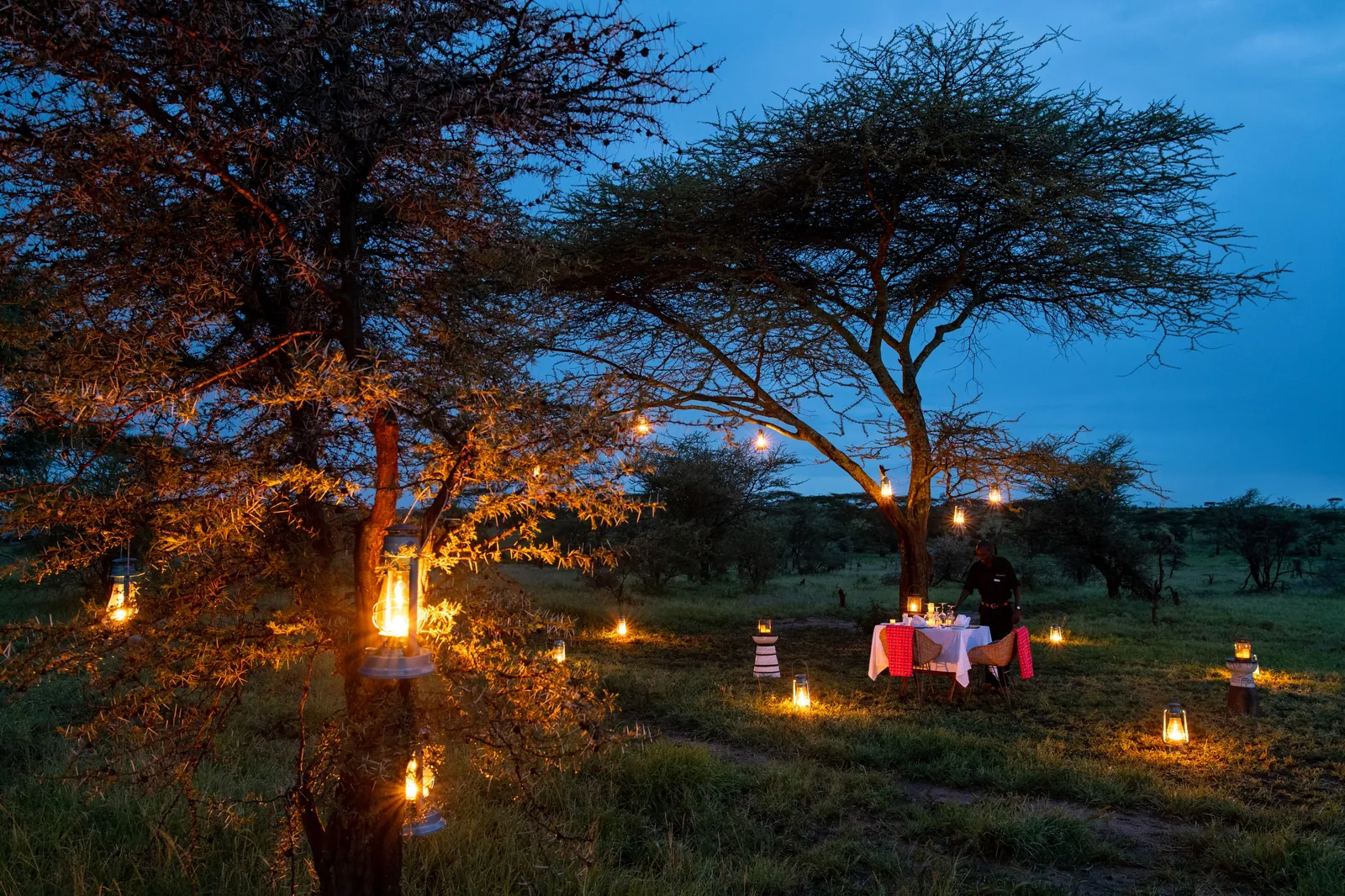 A lantern-lit bush dinner waits under a tree at blue hour