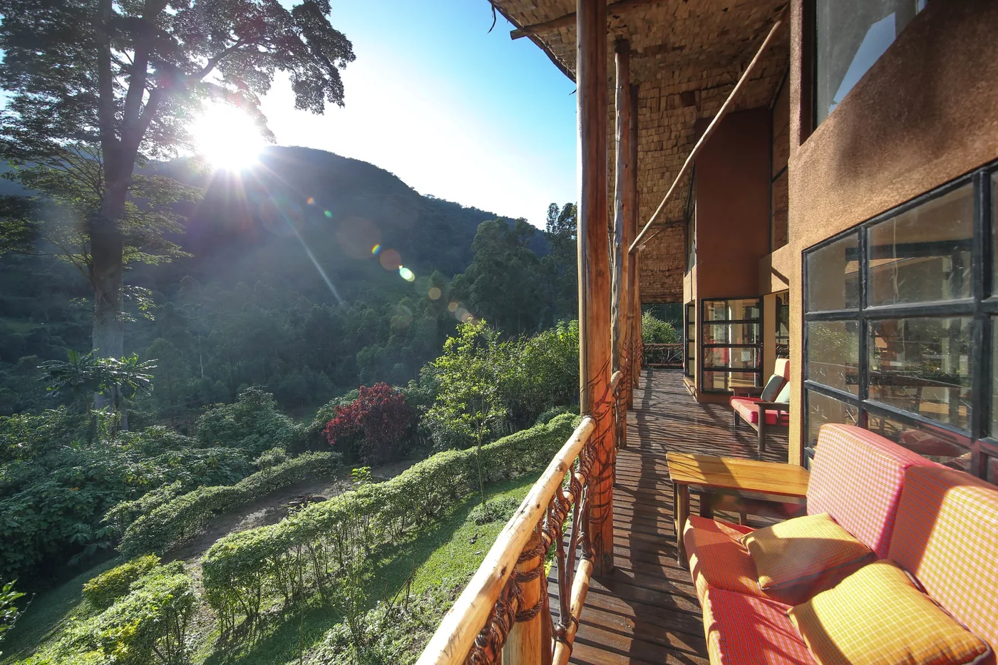Morning sun breaks over the forest from a lodge balcony
