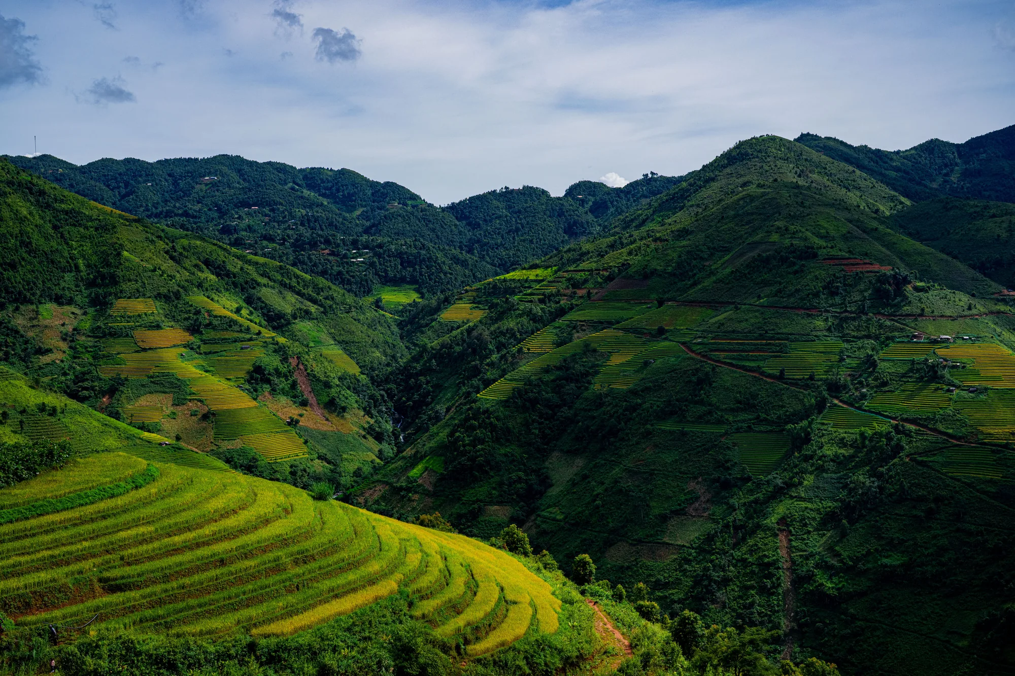 Terraced hills fold into the highlands of gorilla country