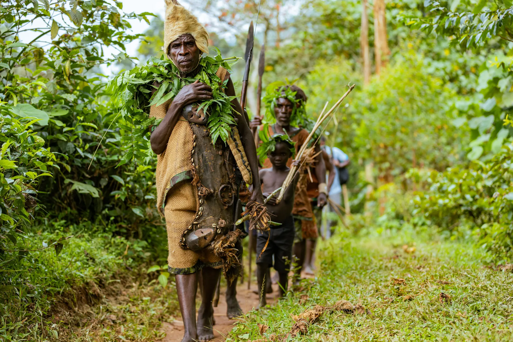 Batwa walkers in barkcloth and leaf garlands move in single file along a sun-dappled forest path in Bwindi.
