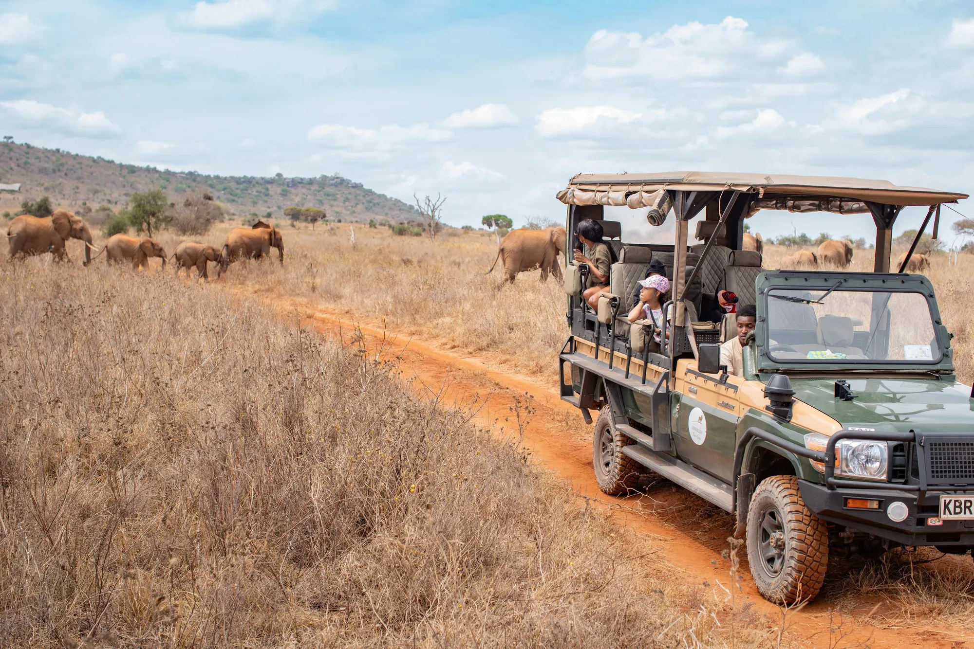 A family watches from a safari vehicle as elephants move through tall Serengeti grass beside the track.