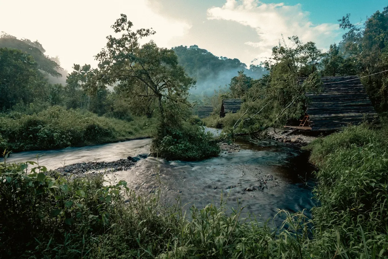 Mist settles over a highland forest river