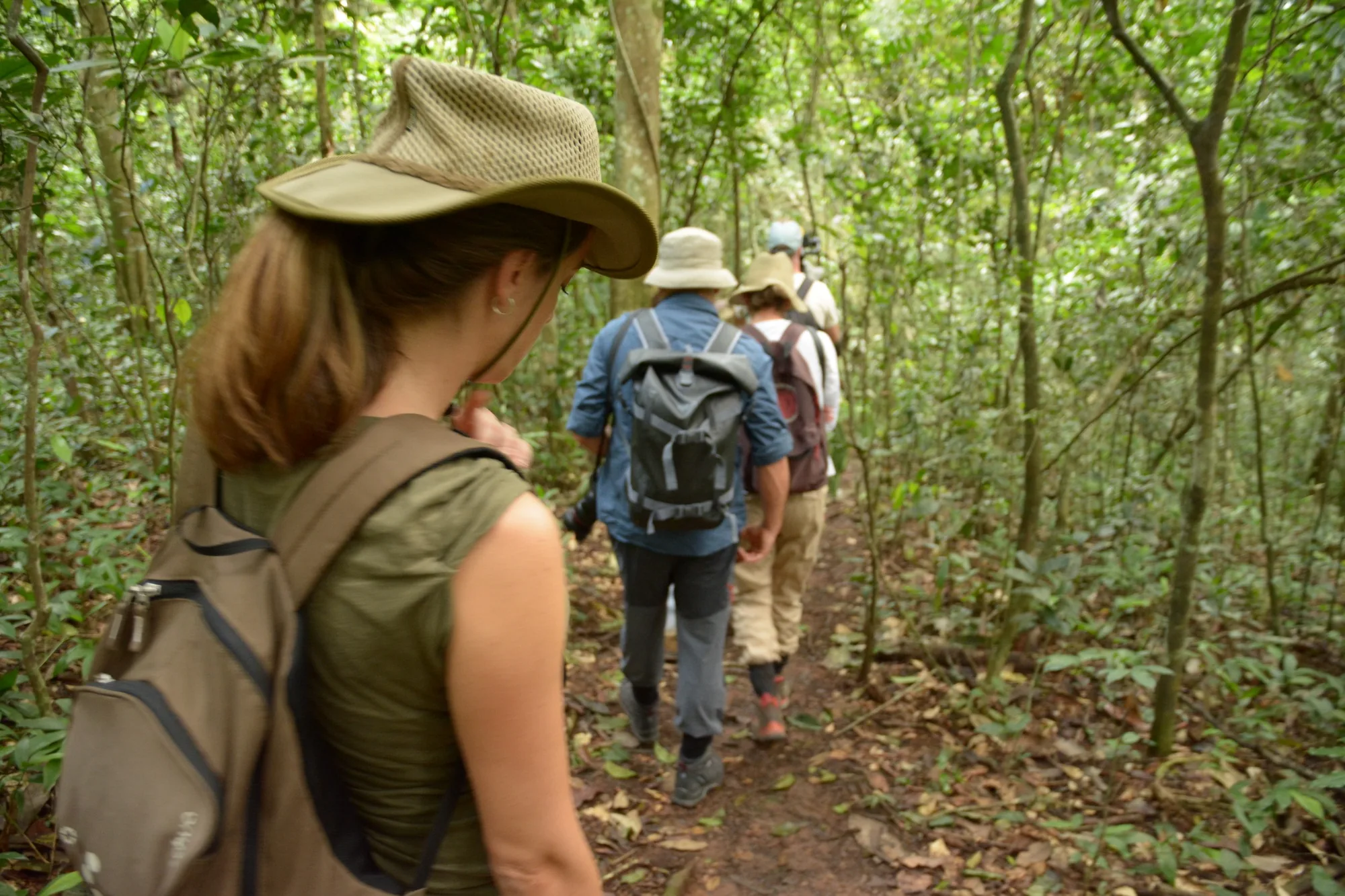 A guide leads guests along a forest trail