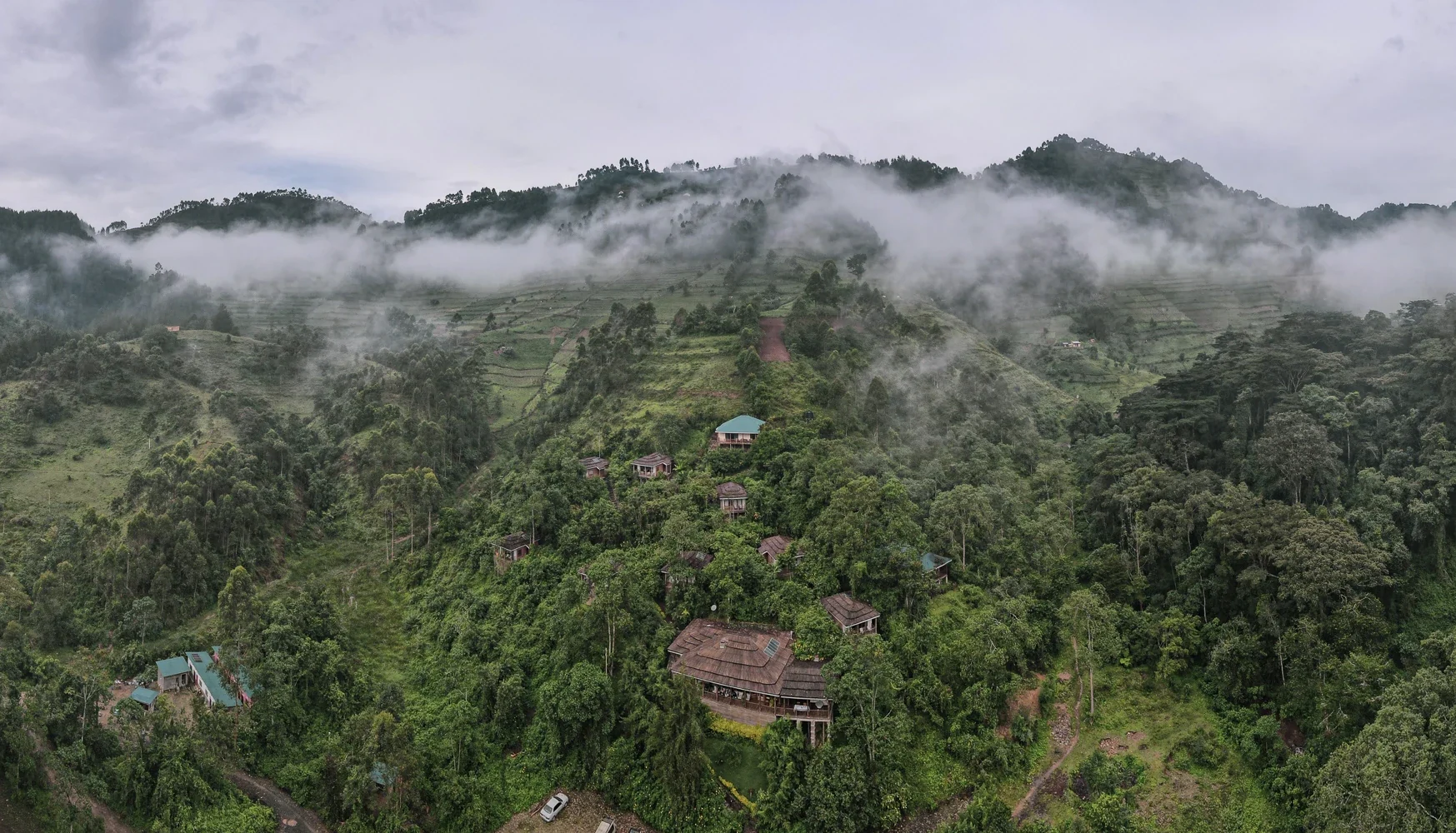 The lodge on the forested hillside with mist over Bwindi