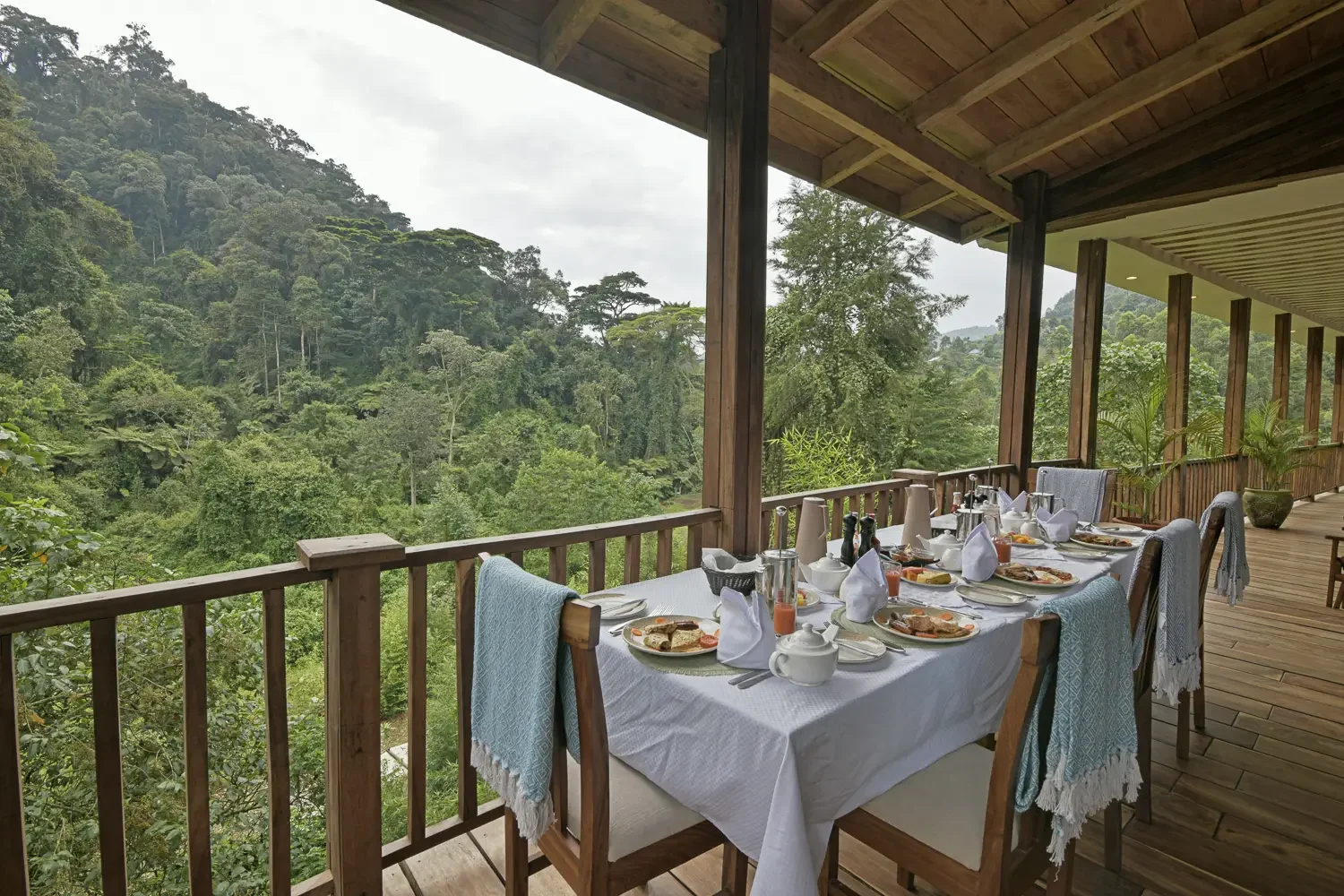 A table laid for lunch on the veranda above the forest