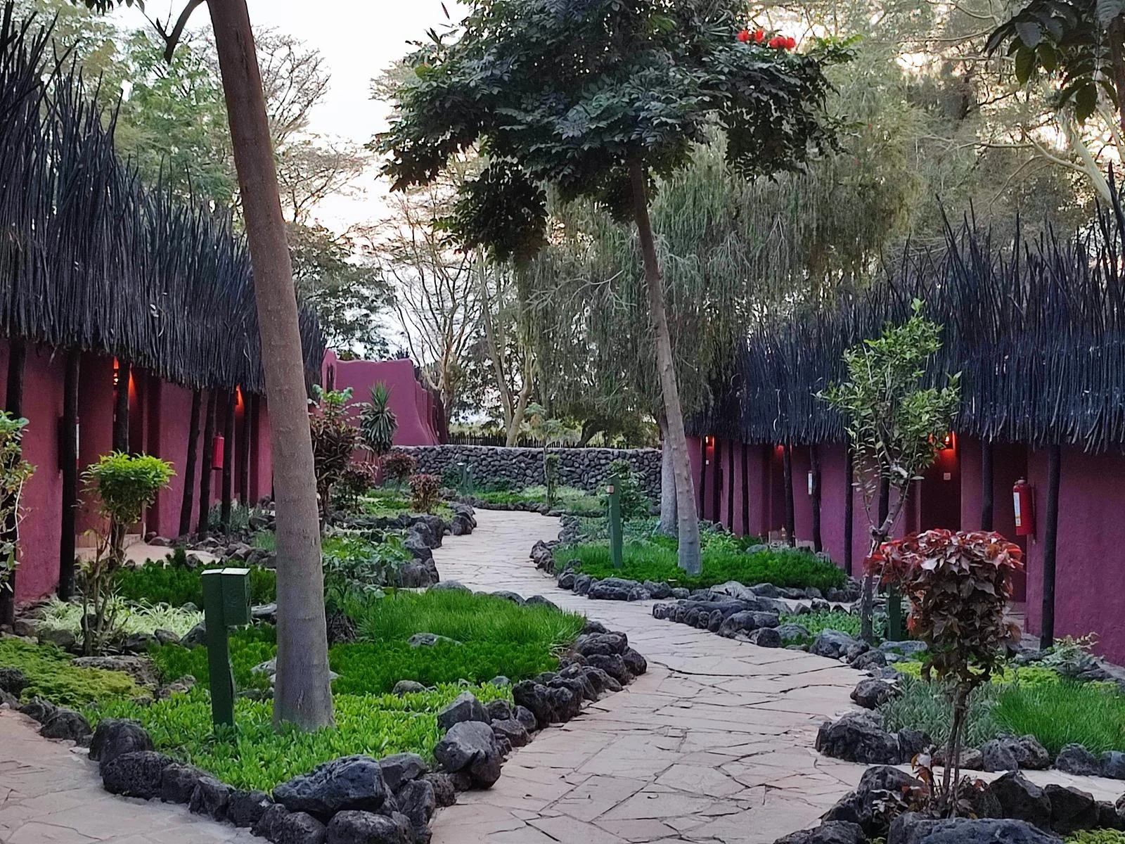 A garden path between the rooms
