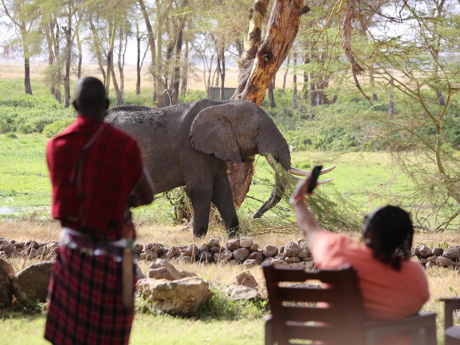 A guide and a guest watching an elephant at the waterhole