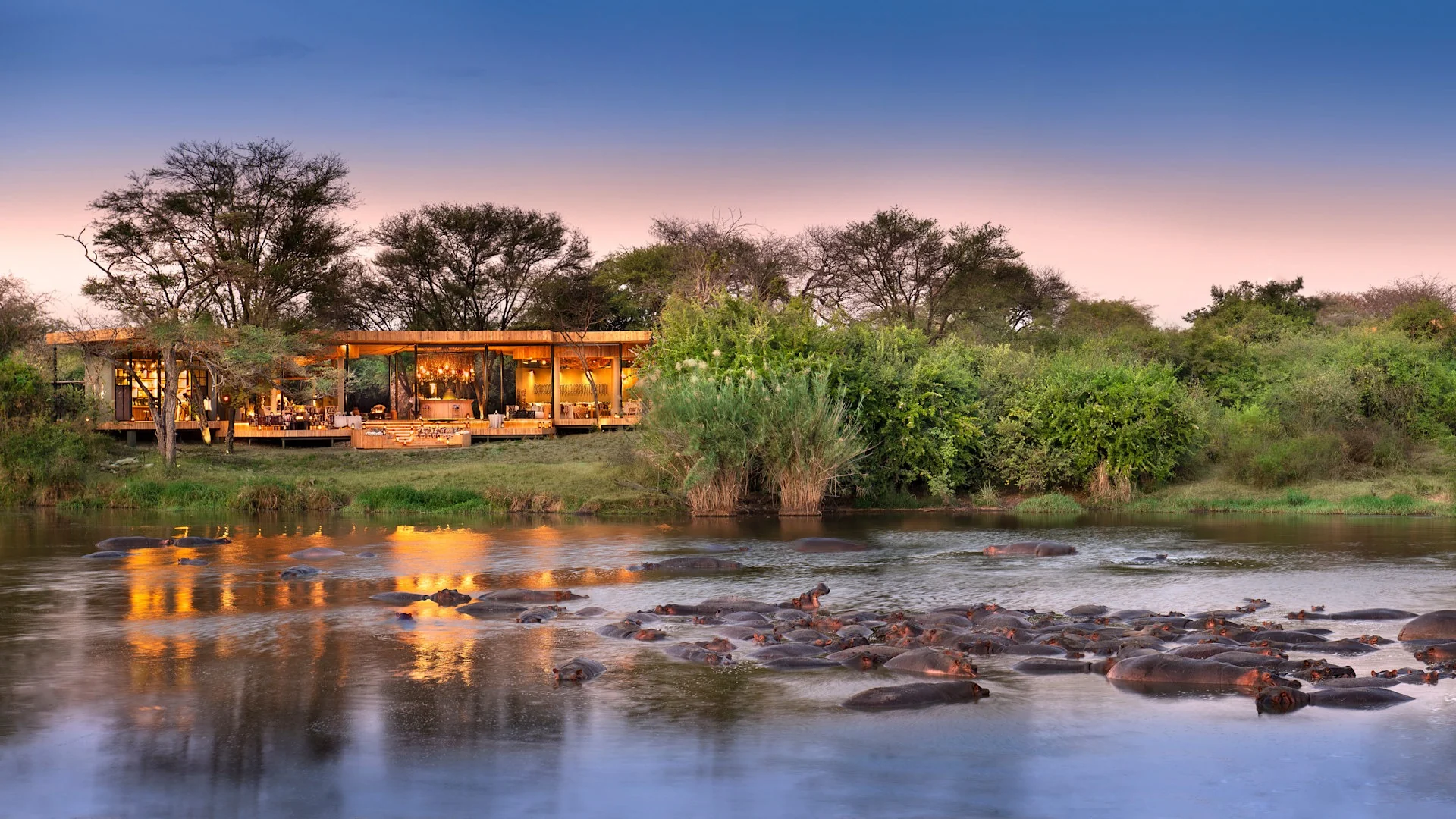 The guest area seen across the river at dusk, with a pod of hippo in the water