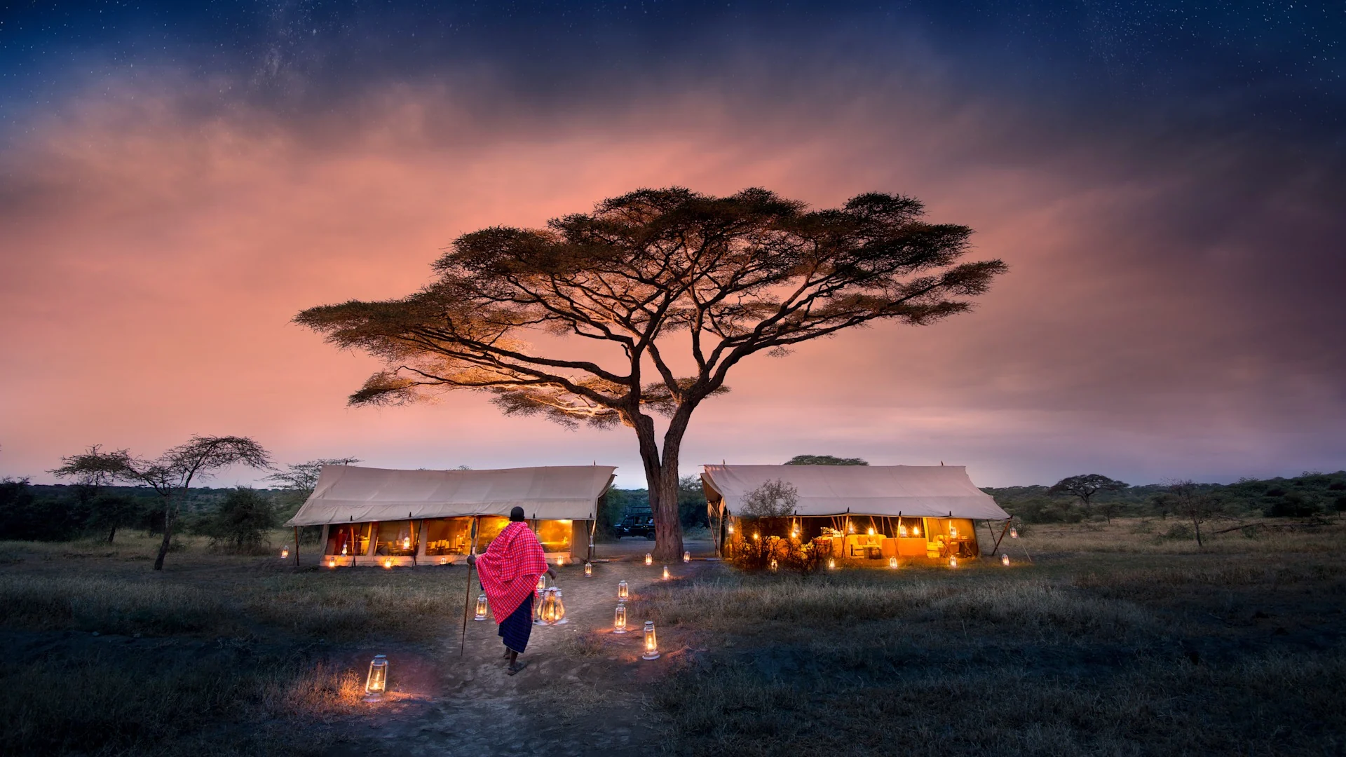 The camp under an acacia at dusk, with lanterns along the path