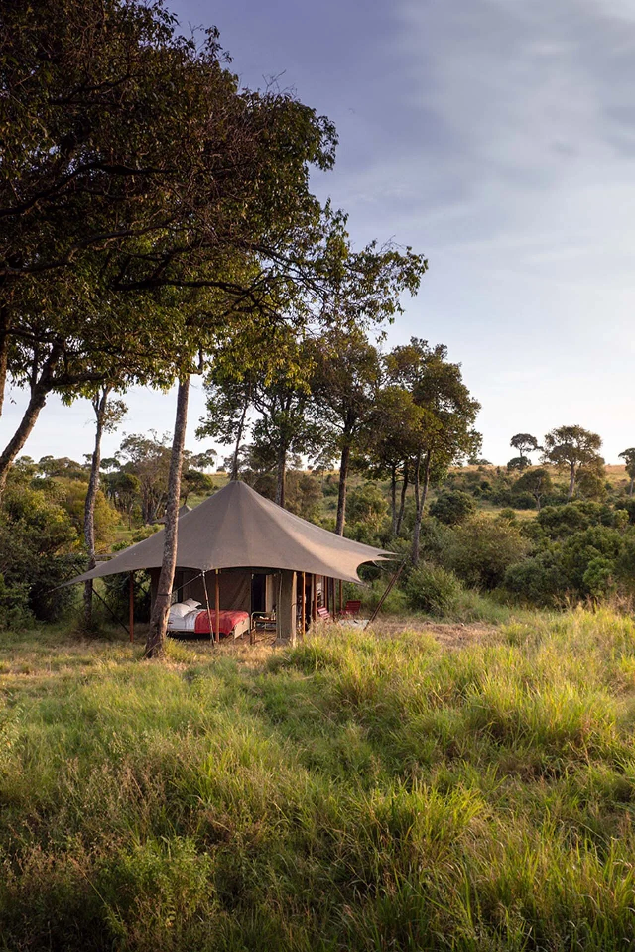 A tent among the trees