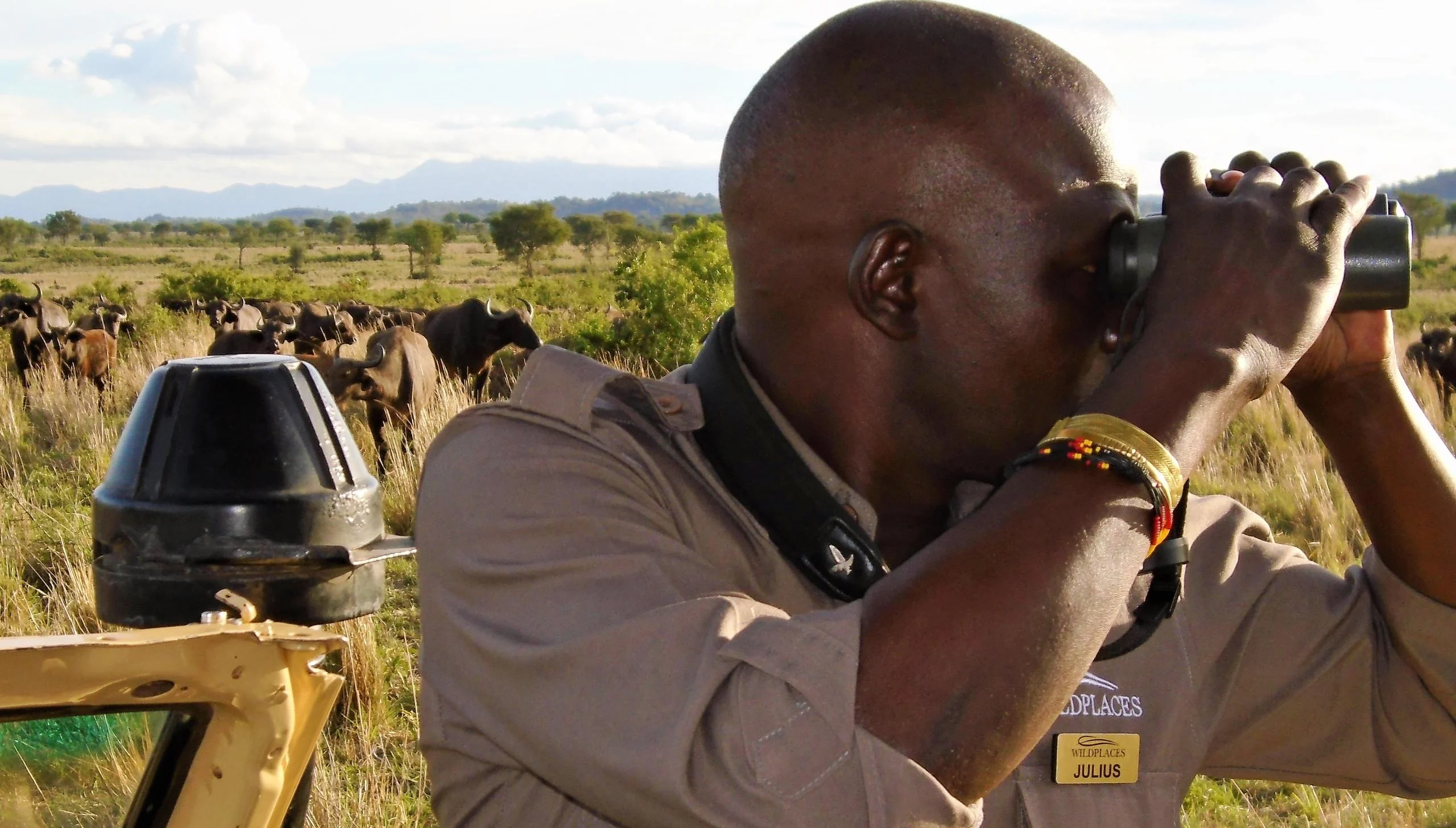 A guide with binoculars on the plains