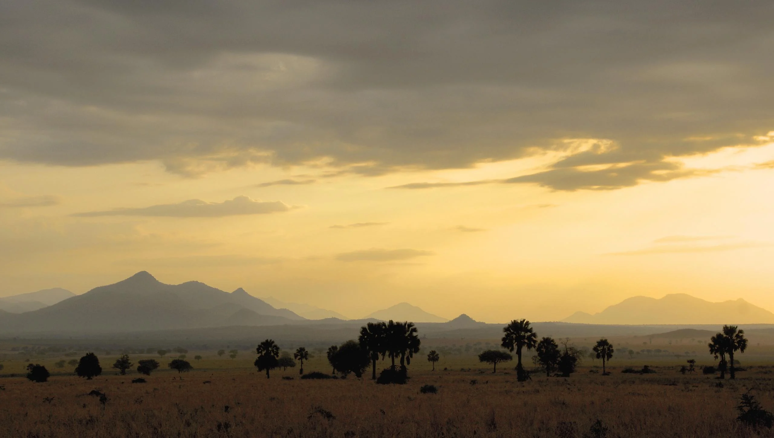 The hills of Kidepo at sunset