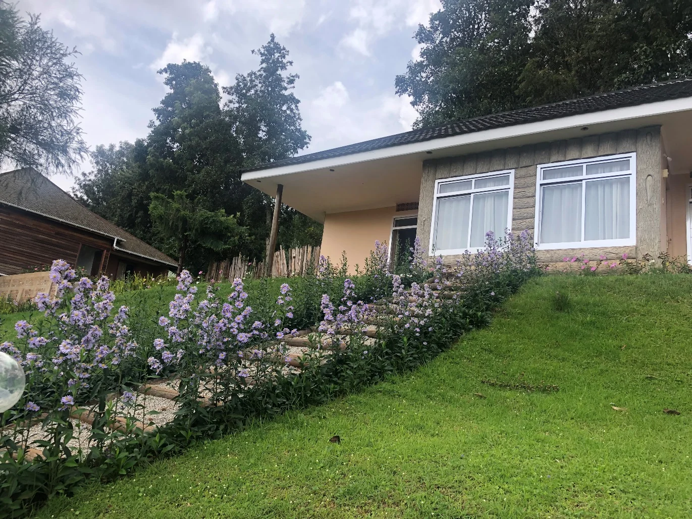 A cottage on the lawn with flowering shrubs