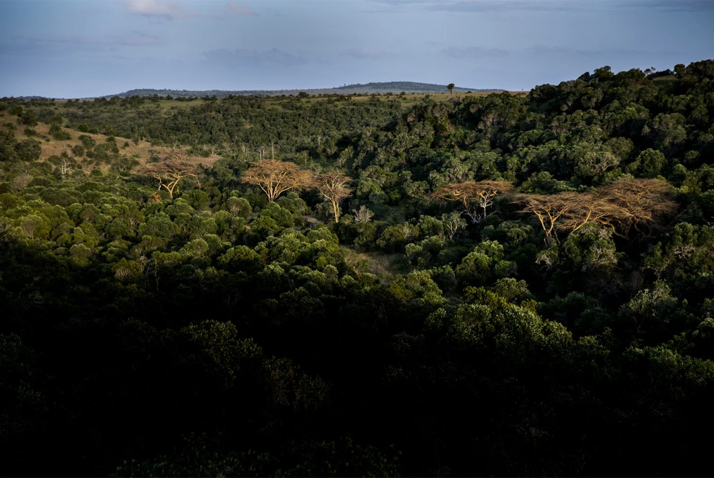 The wooded valley below the retreat