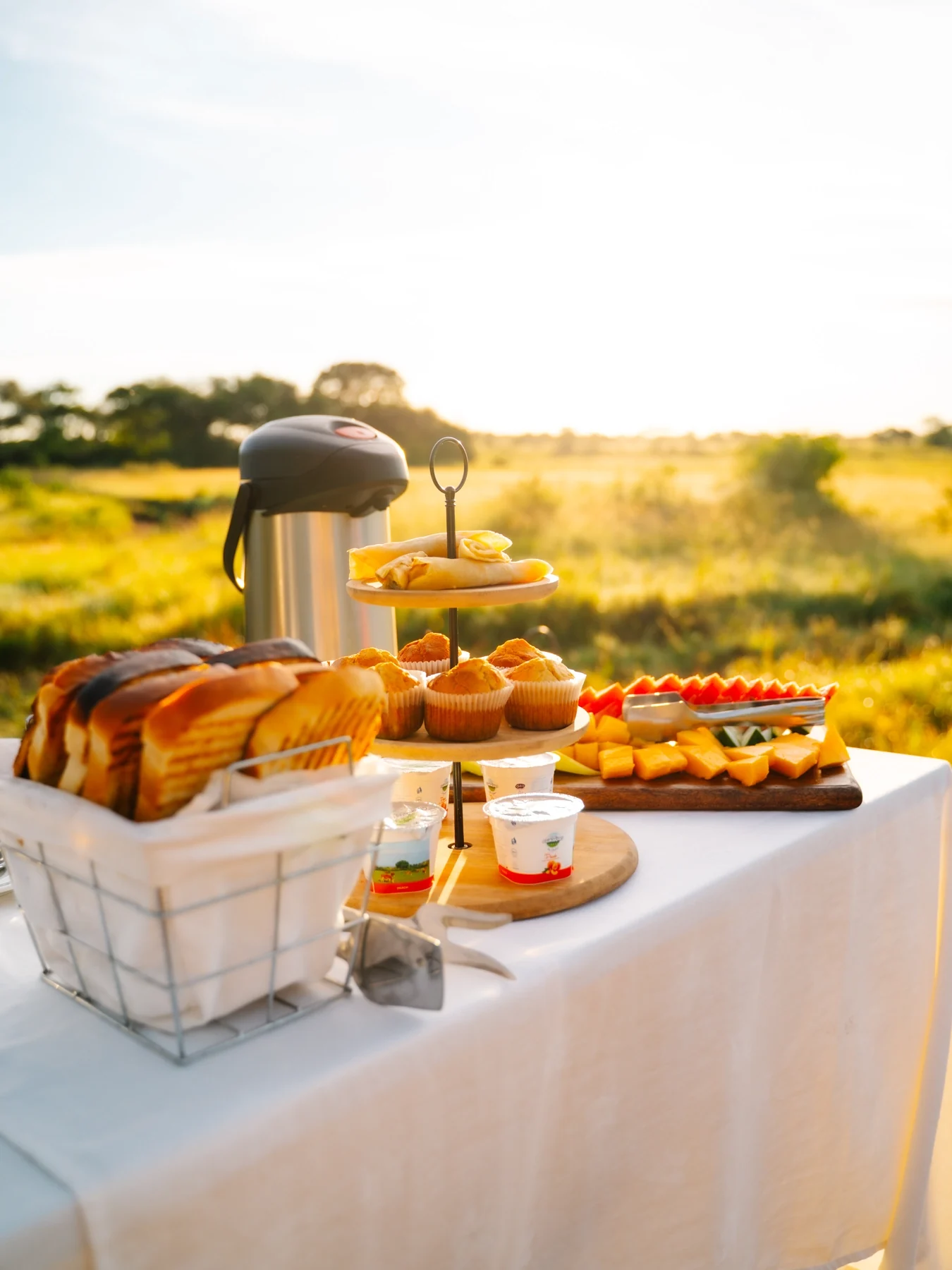 A breakfast table set out on the plains