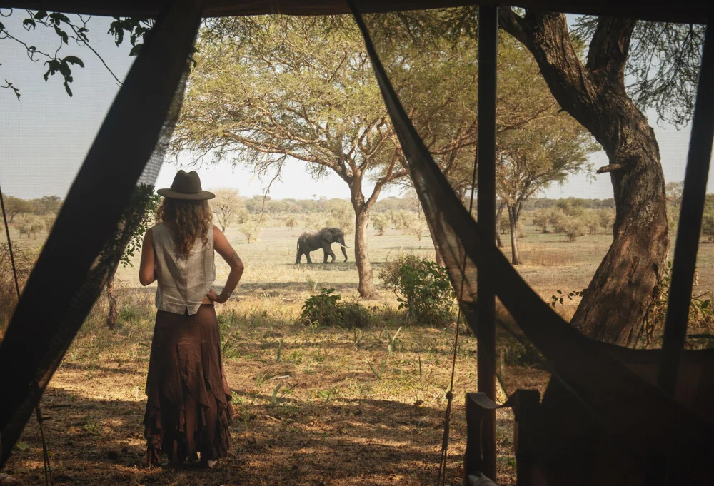 Looking out from a tent to an elephant on the plains